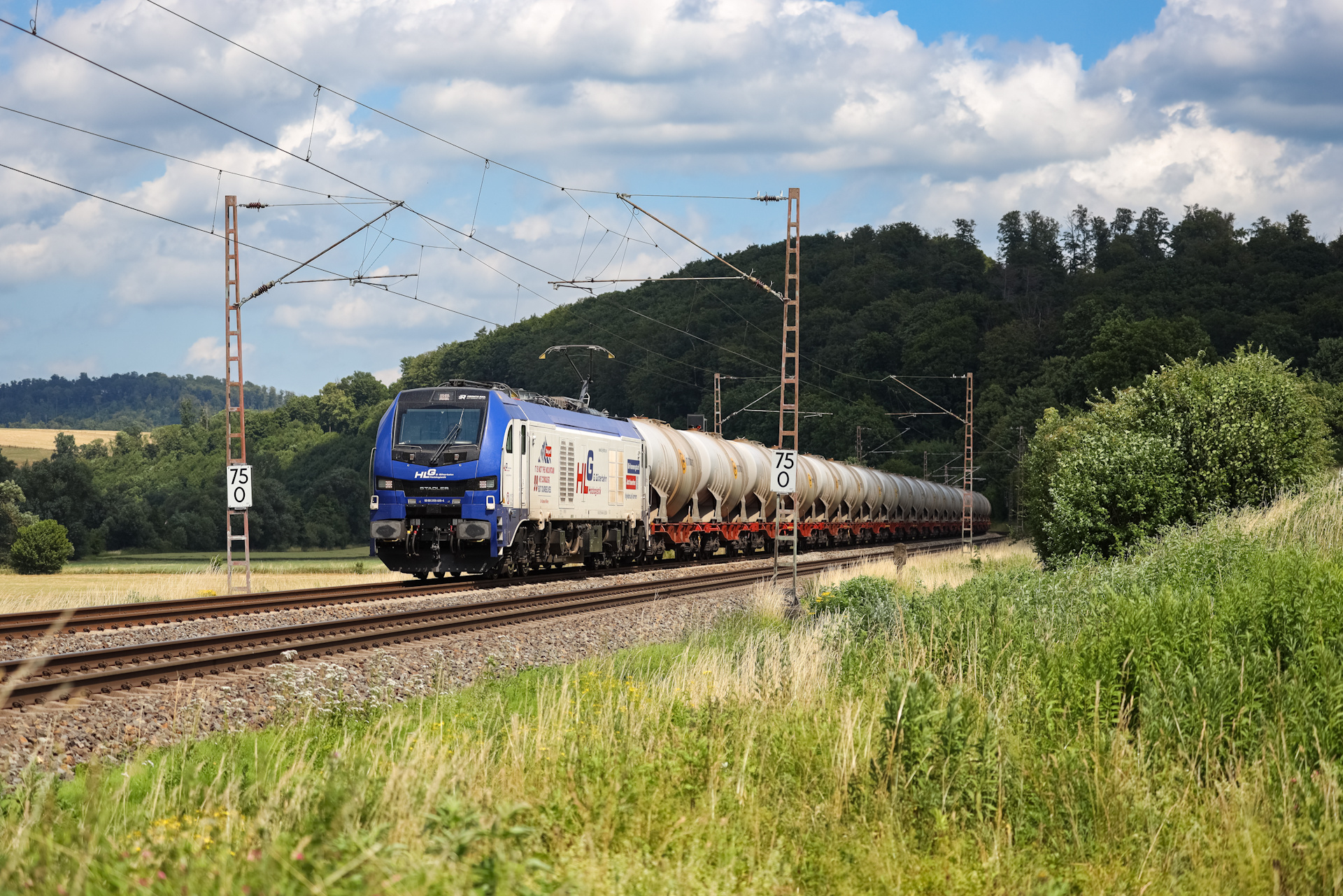 Stadler Euro Dual DE 159 – photo 7