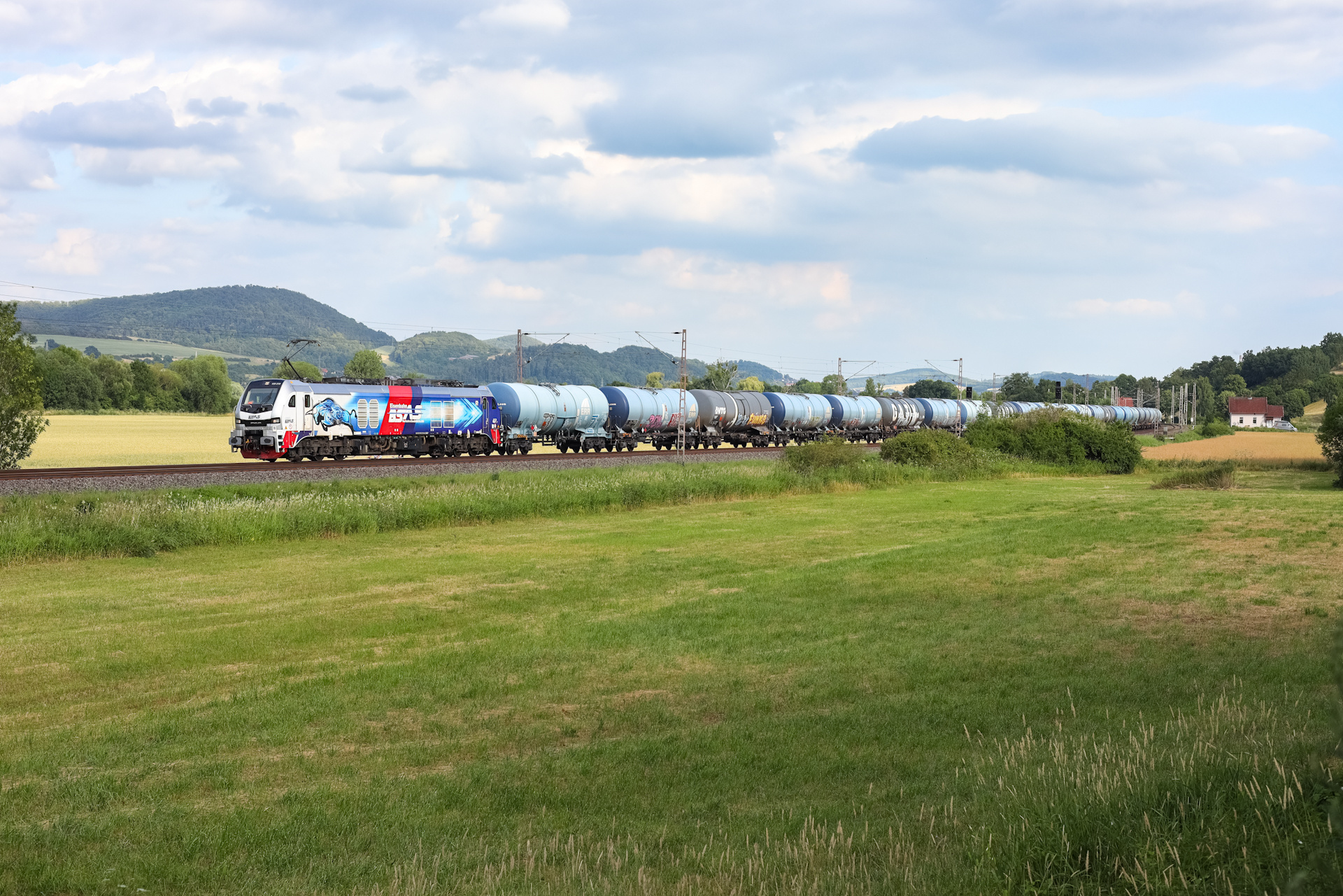 Stadler Euro Dual DE 159 – photo 5