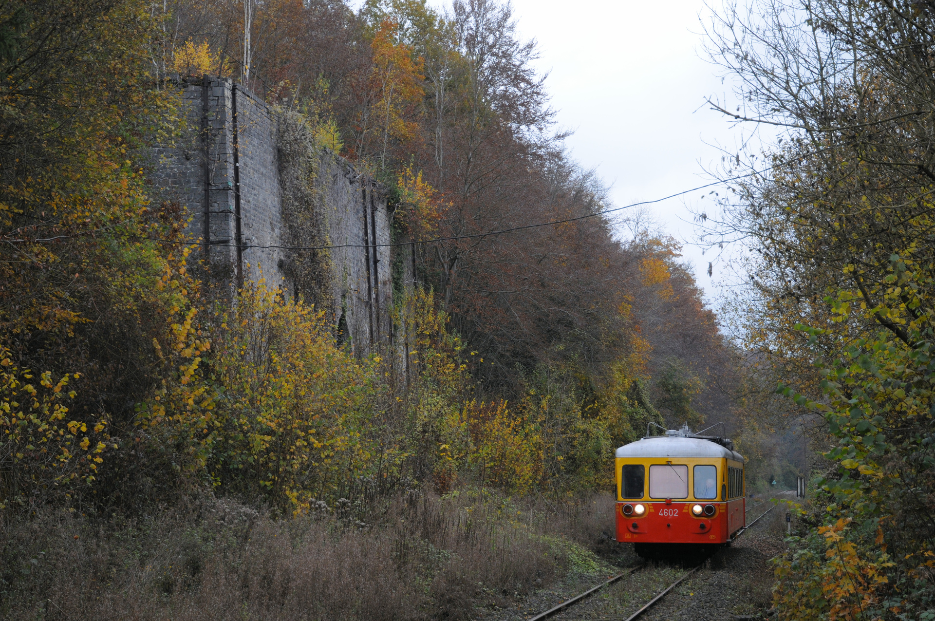 Ragheno SNCB 46 – photo 5