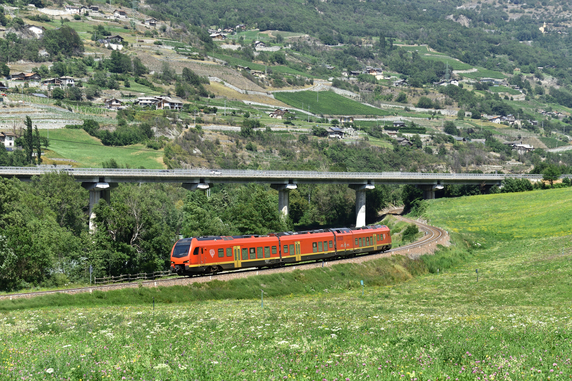 Stadler FS BTR 813 – photo 13