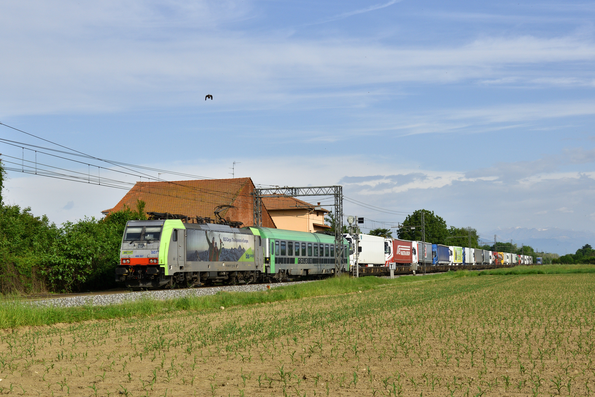 Bombardier F140 MS – foto 12