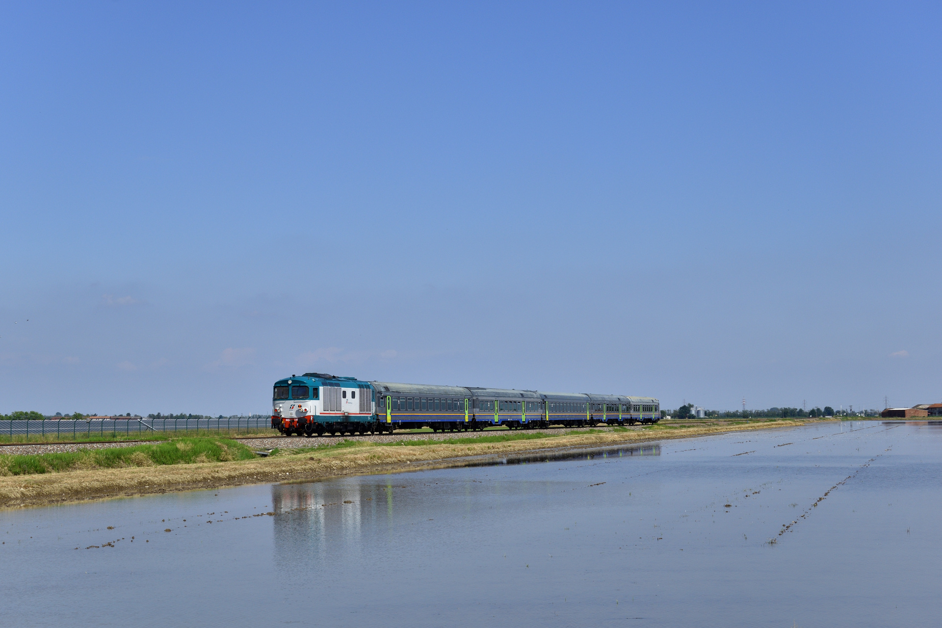Fiat D445 – photo 8