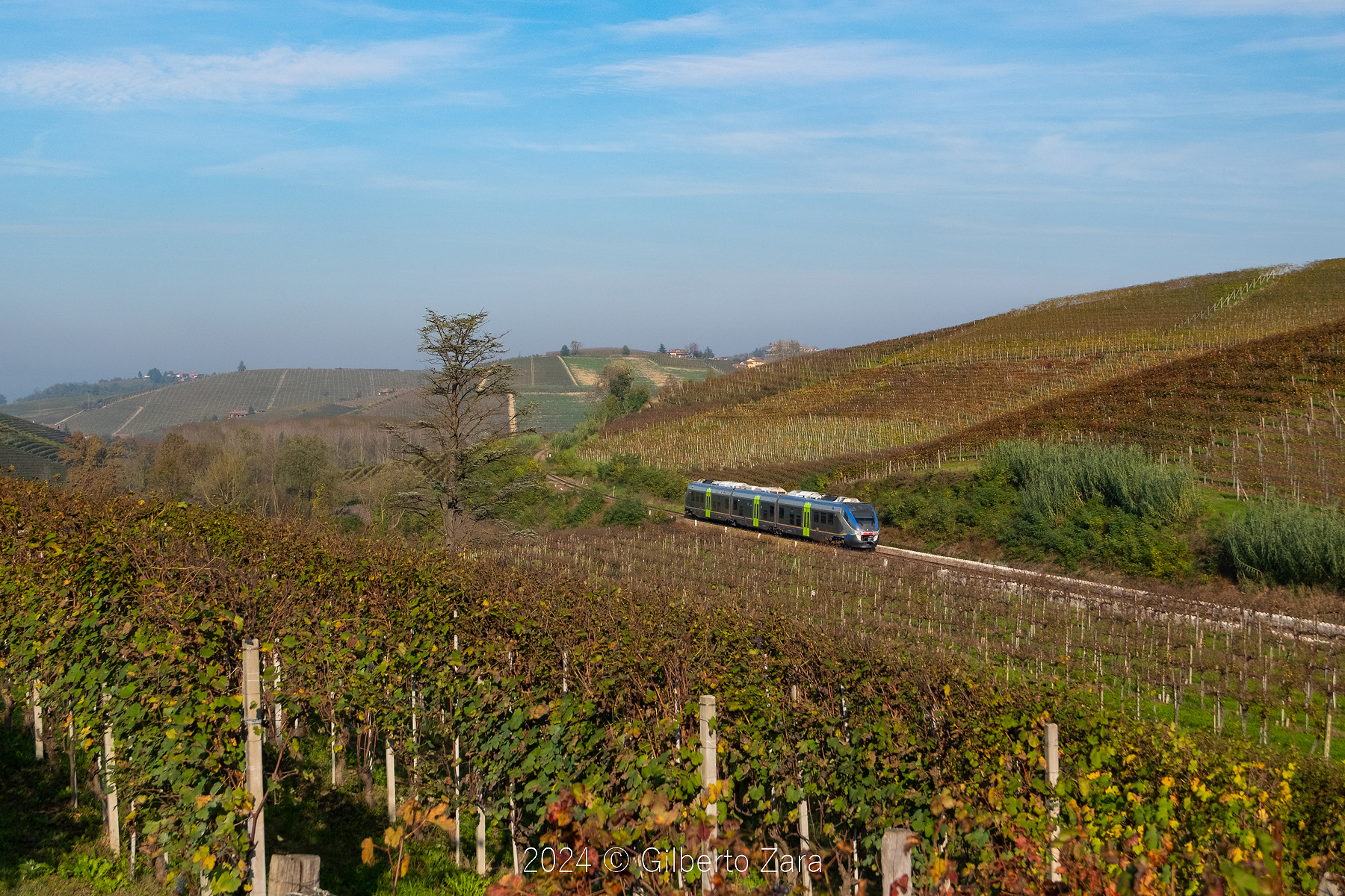 Alstom ALn 501 – photo 12