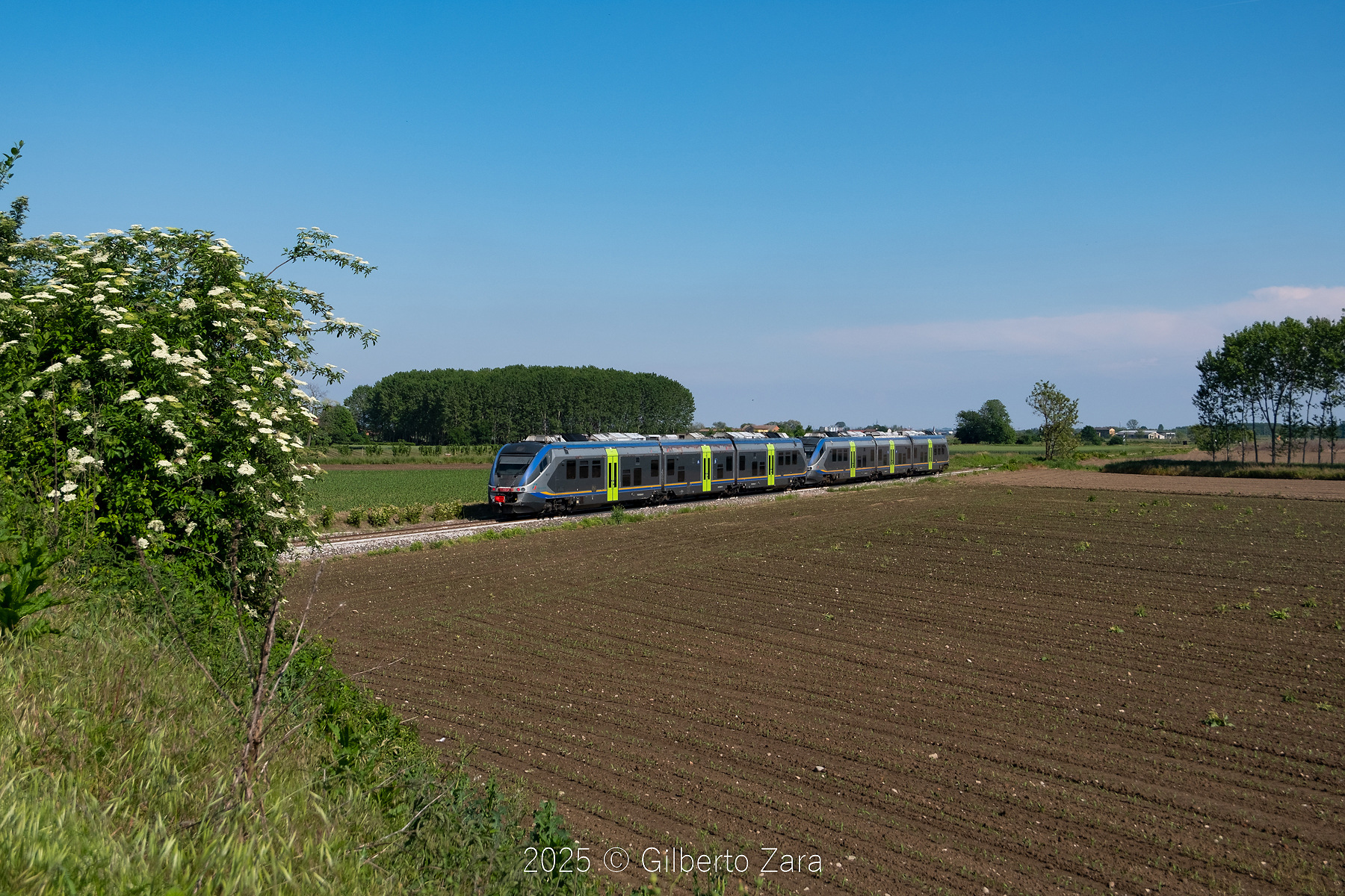 Alstom ALn 501 – photo 4