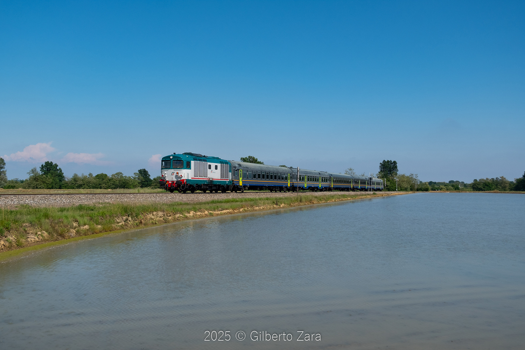 Fiat D445 – photo 14