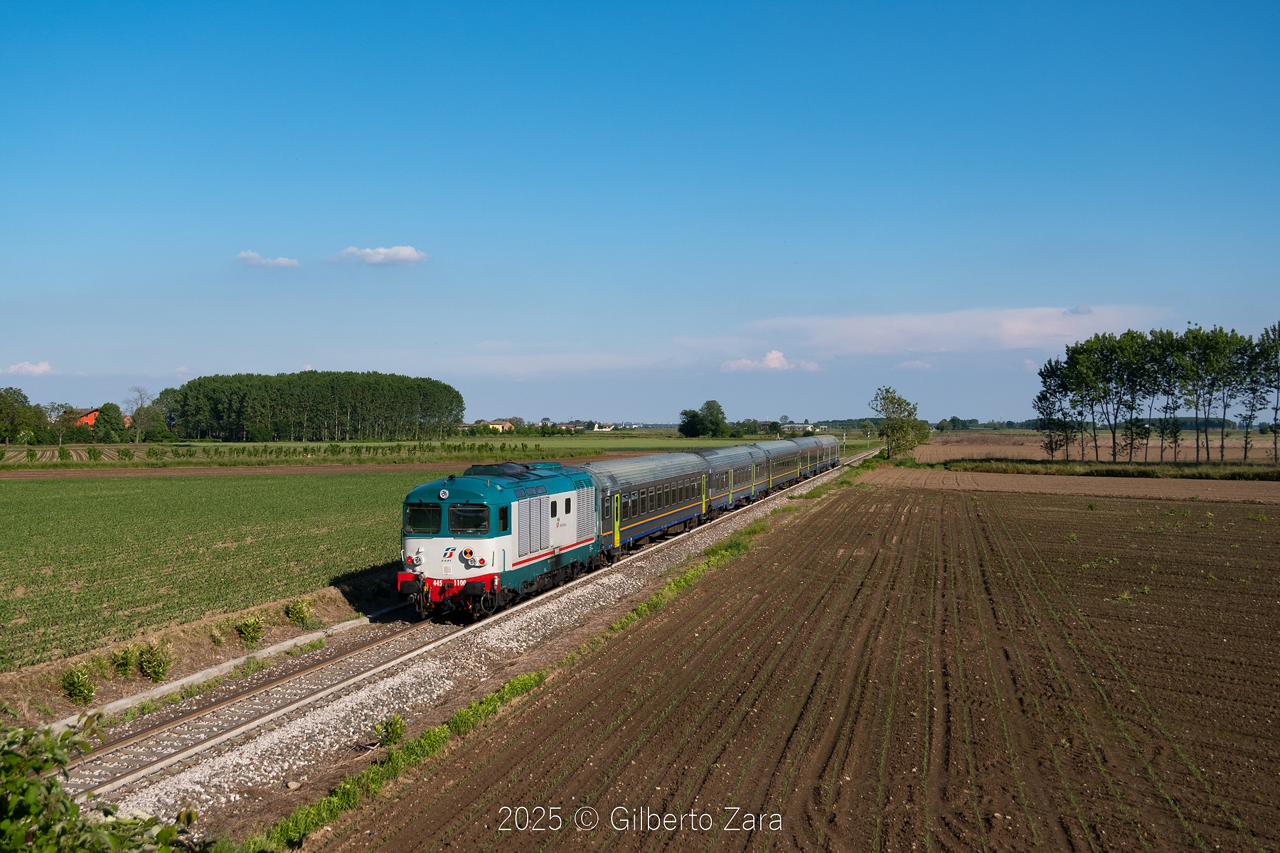 Fiat D445 – photo 12