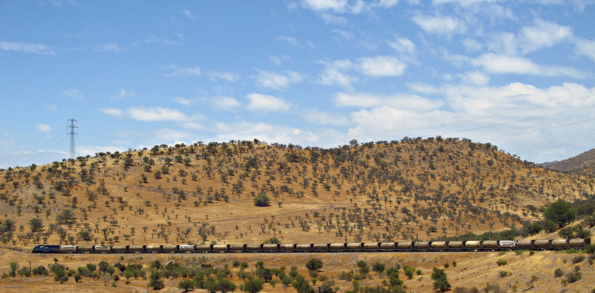 EMD SD39 (1676mm) – photo 10