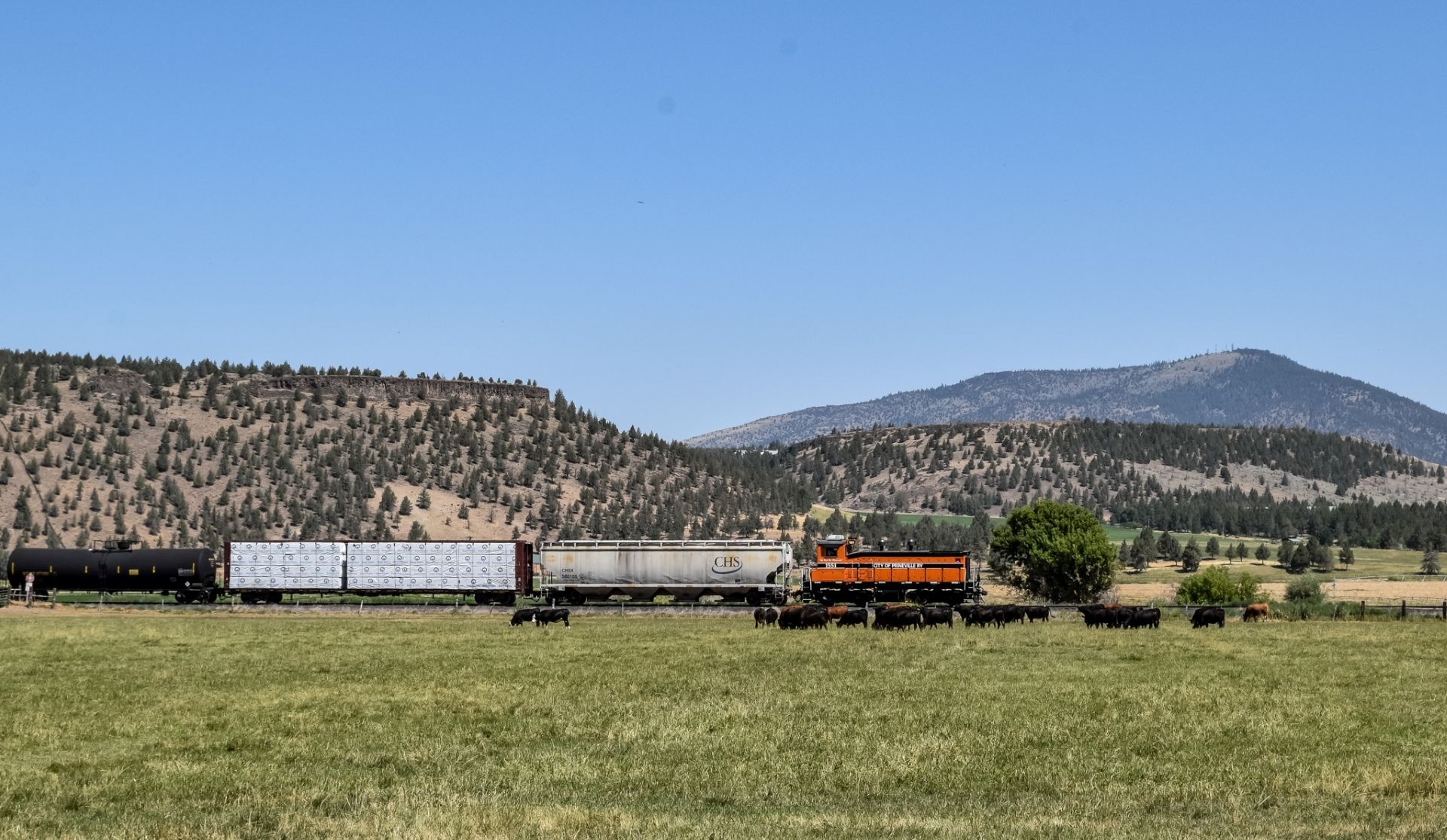 EMD SW1500 – photo 4