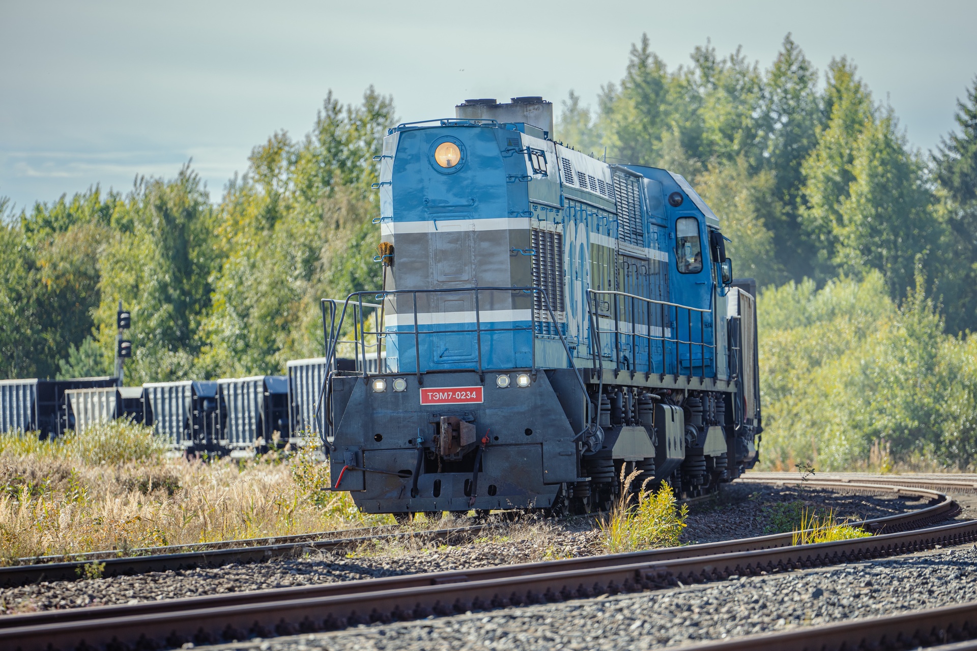 LTZ TEM7 – photo 19