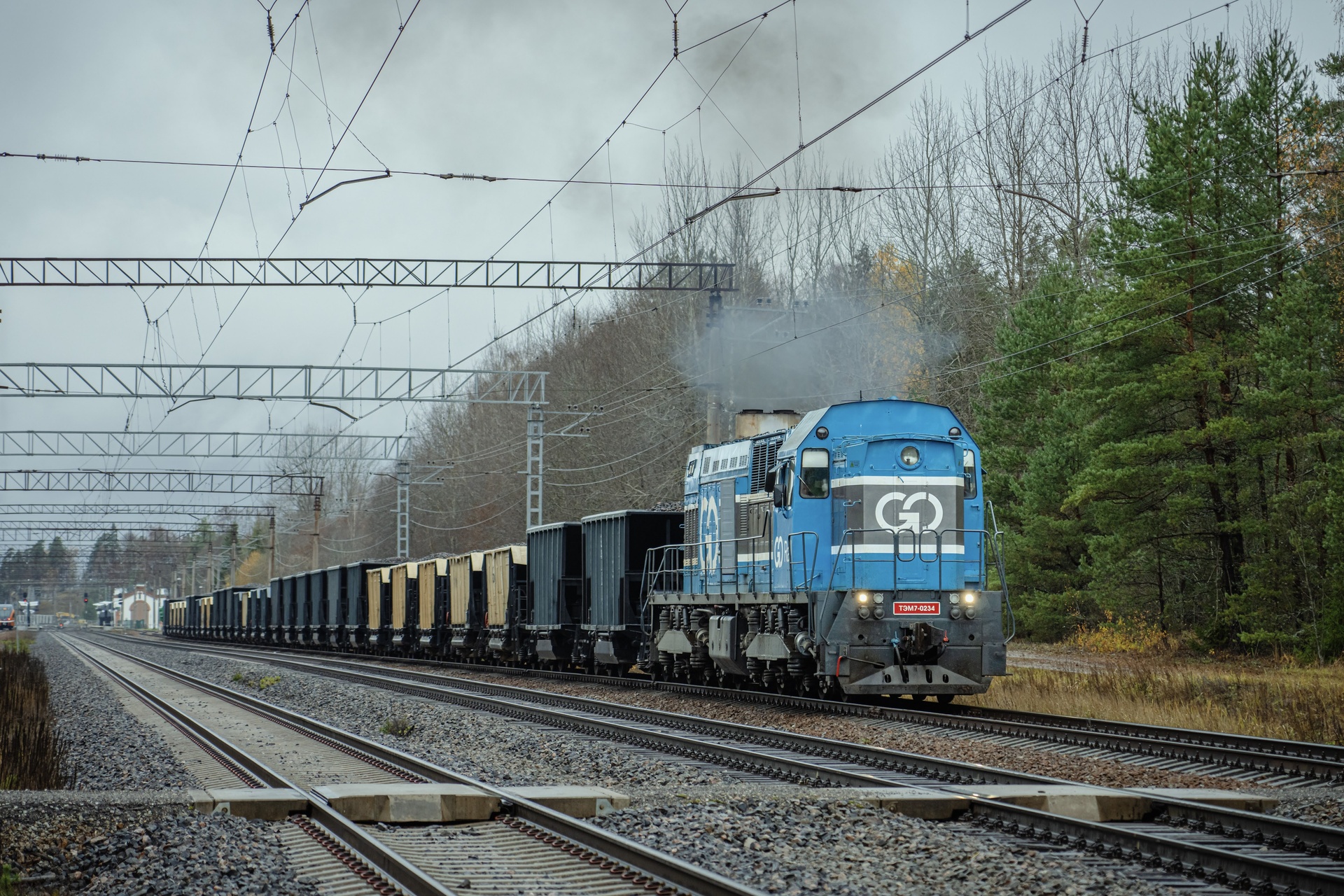 LTZ TEM7 – photo 15