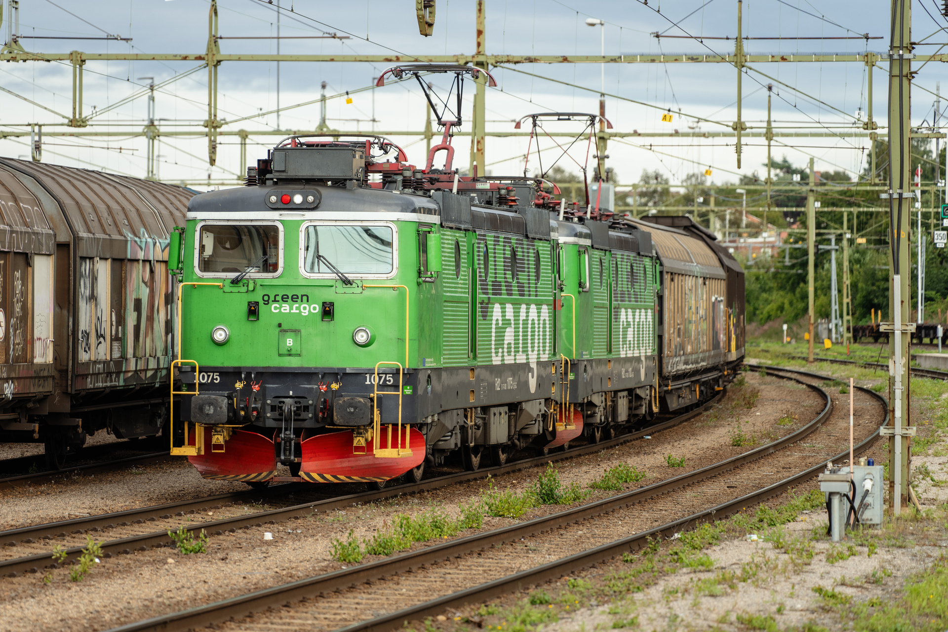 Bombardier Rd2 – photo 4