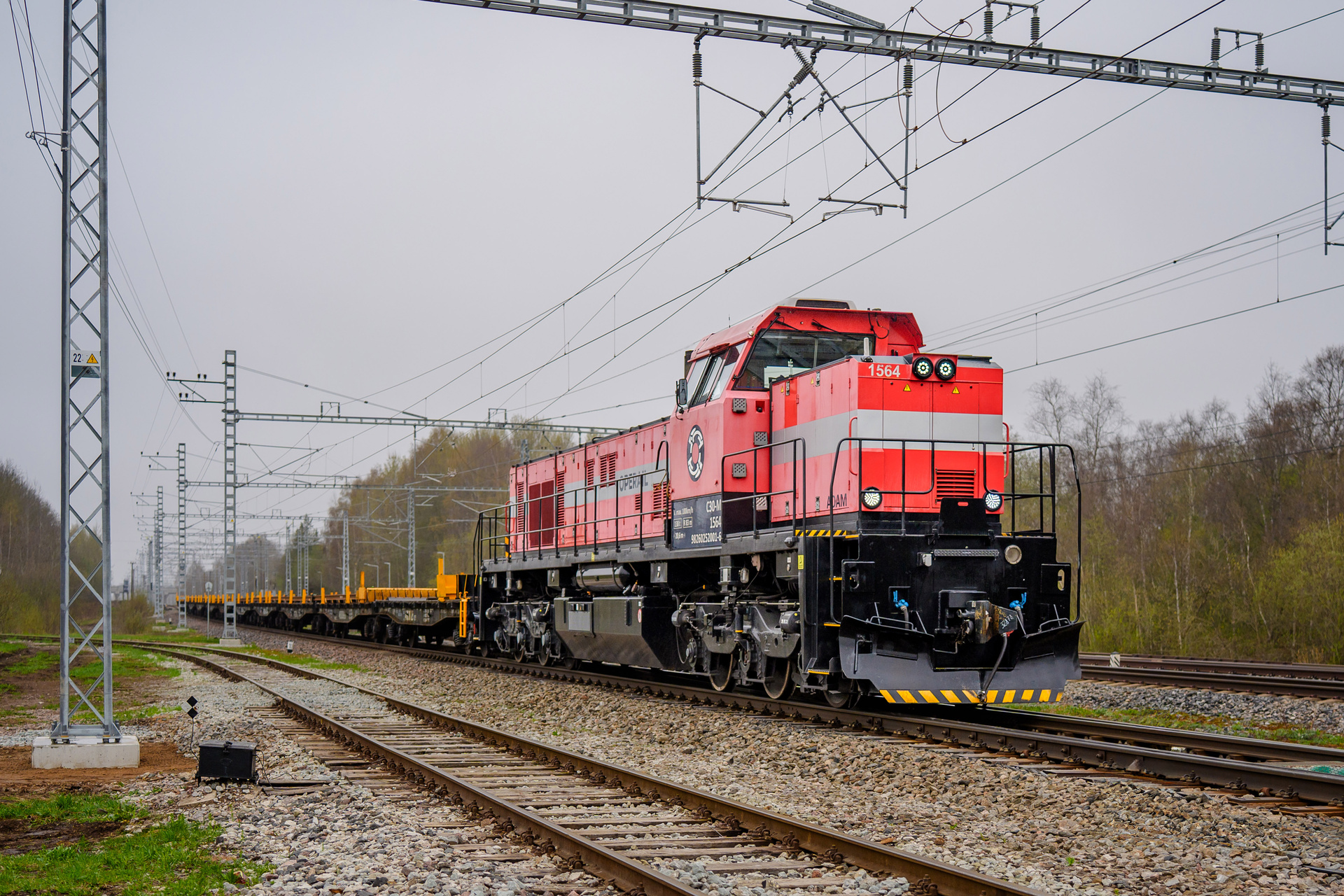 CZ LOKO C30-M – Foto 6