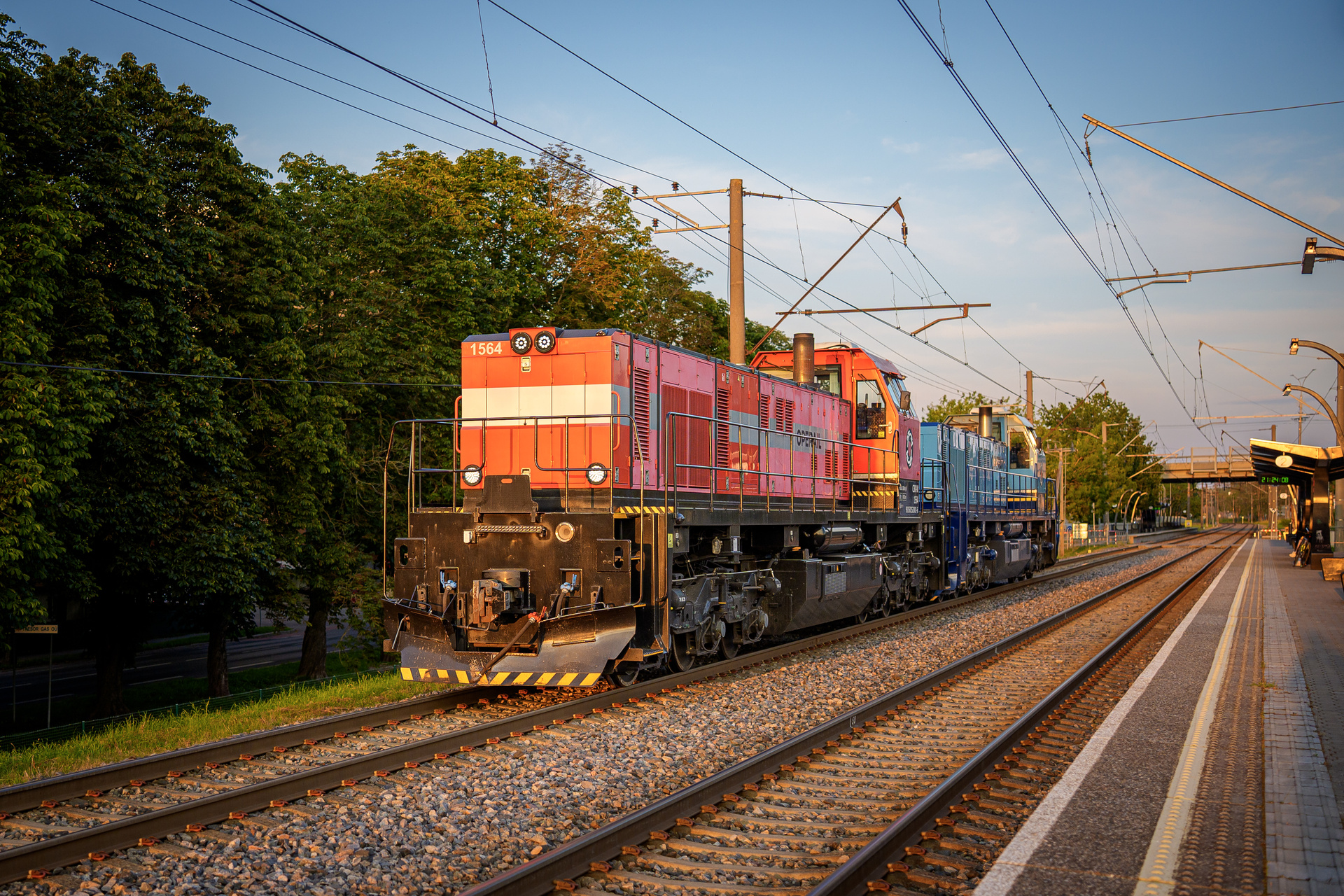 CZ LOKO C30-M – Foto 4
