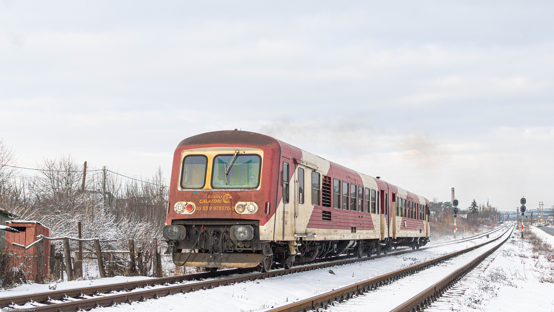 ANF X 4630 – photo 6