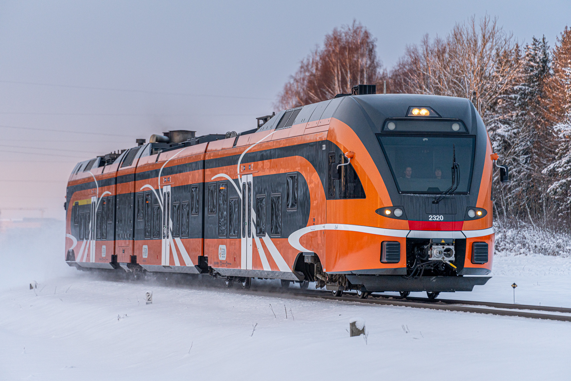 Stadler Flirt 3/8 1520 mm – photo 18