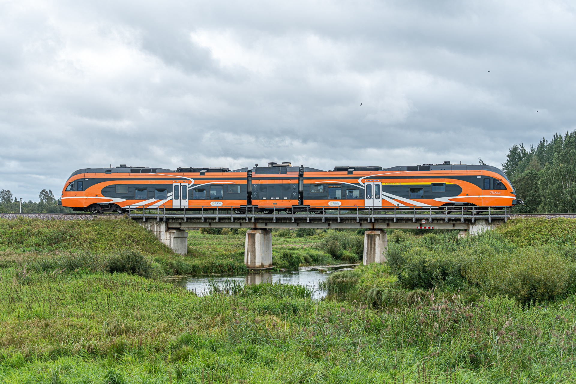 Stadler Flirt 2/8 1520mm – photo 12