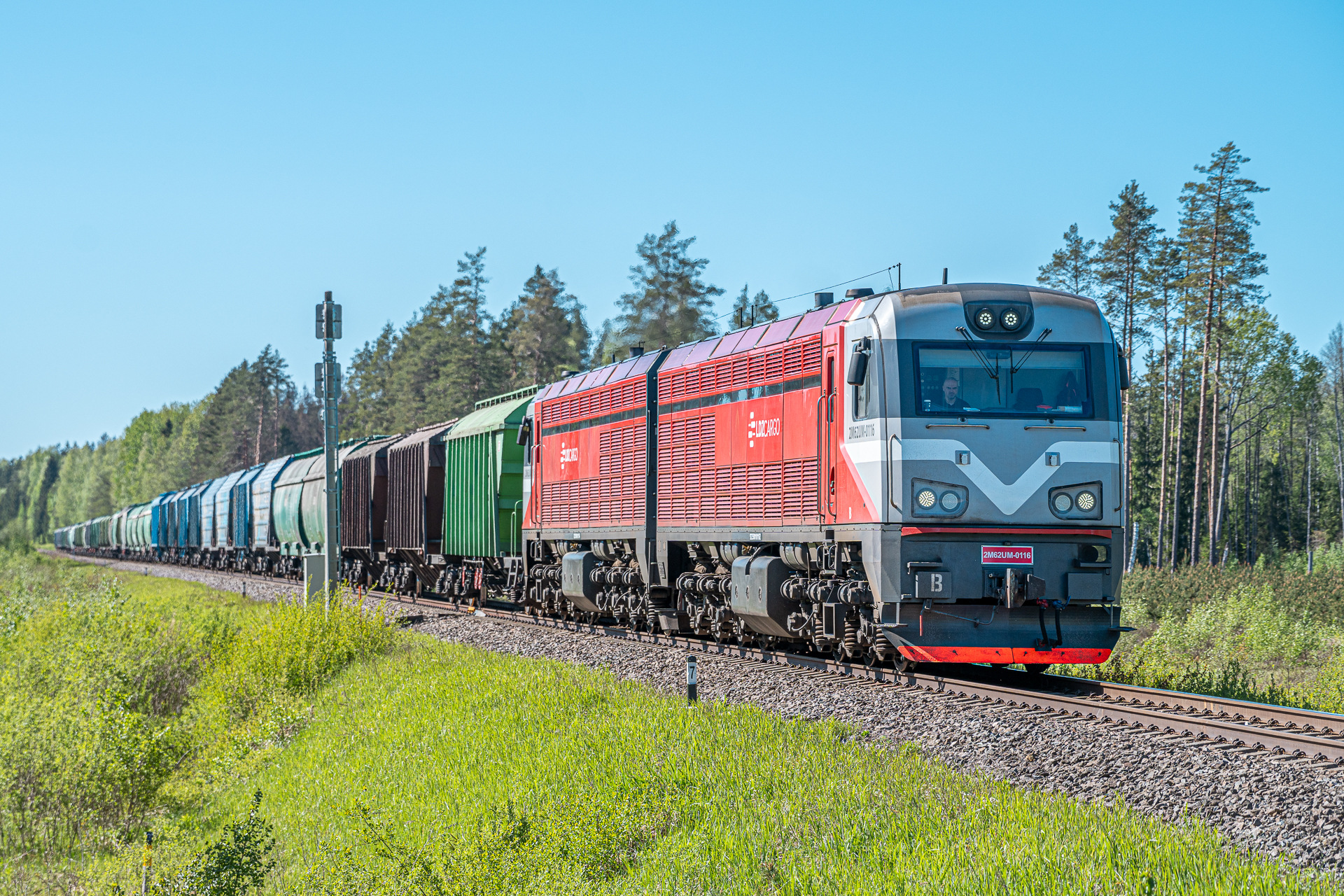 CZ LOKO LDz 2M62UM – foto 17