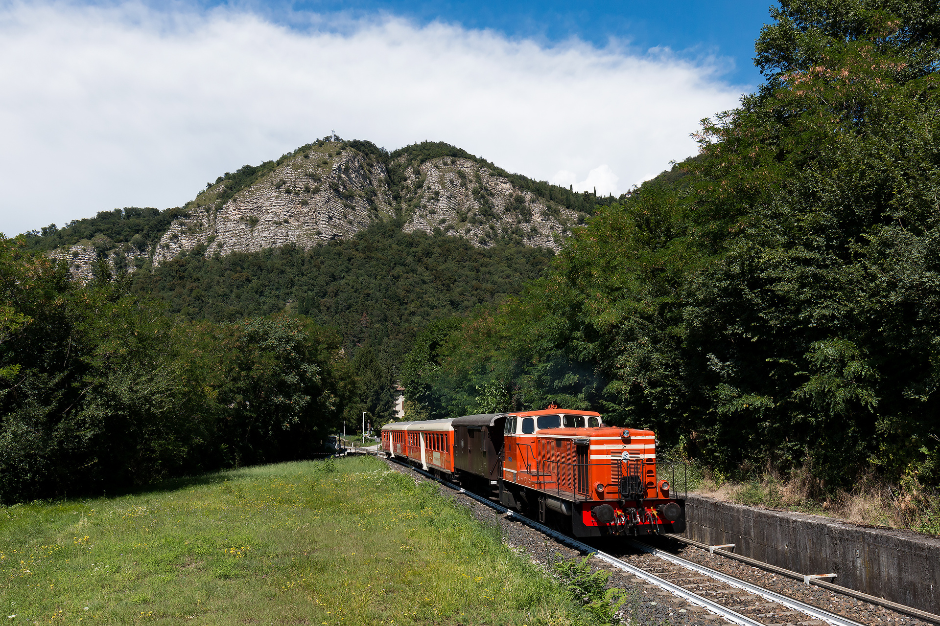 OM Cne – photo 3