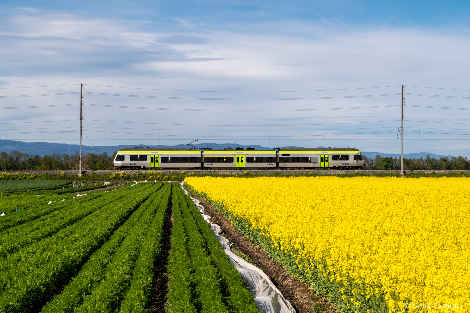 Alstom BLS RABe 525 – photo 16