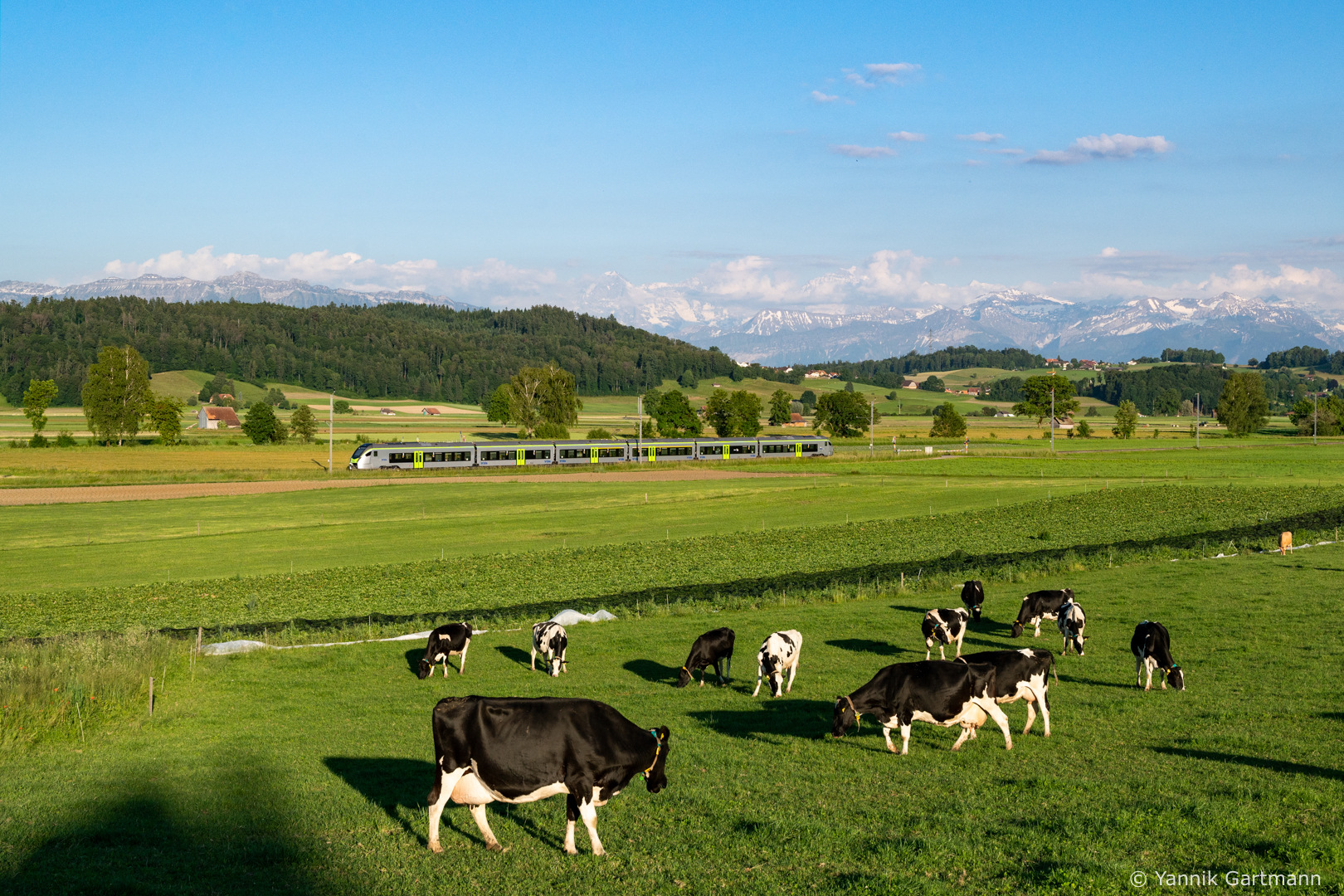 Stadler RABe 528 – photo 13