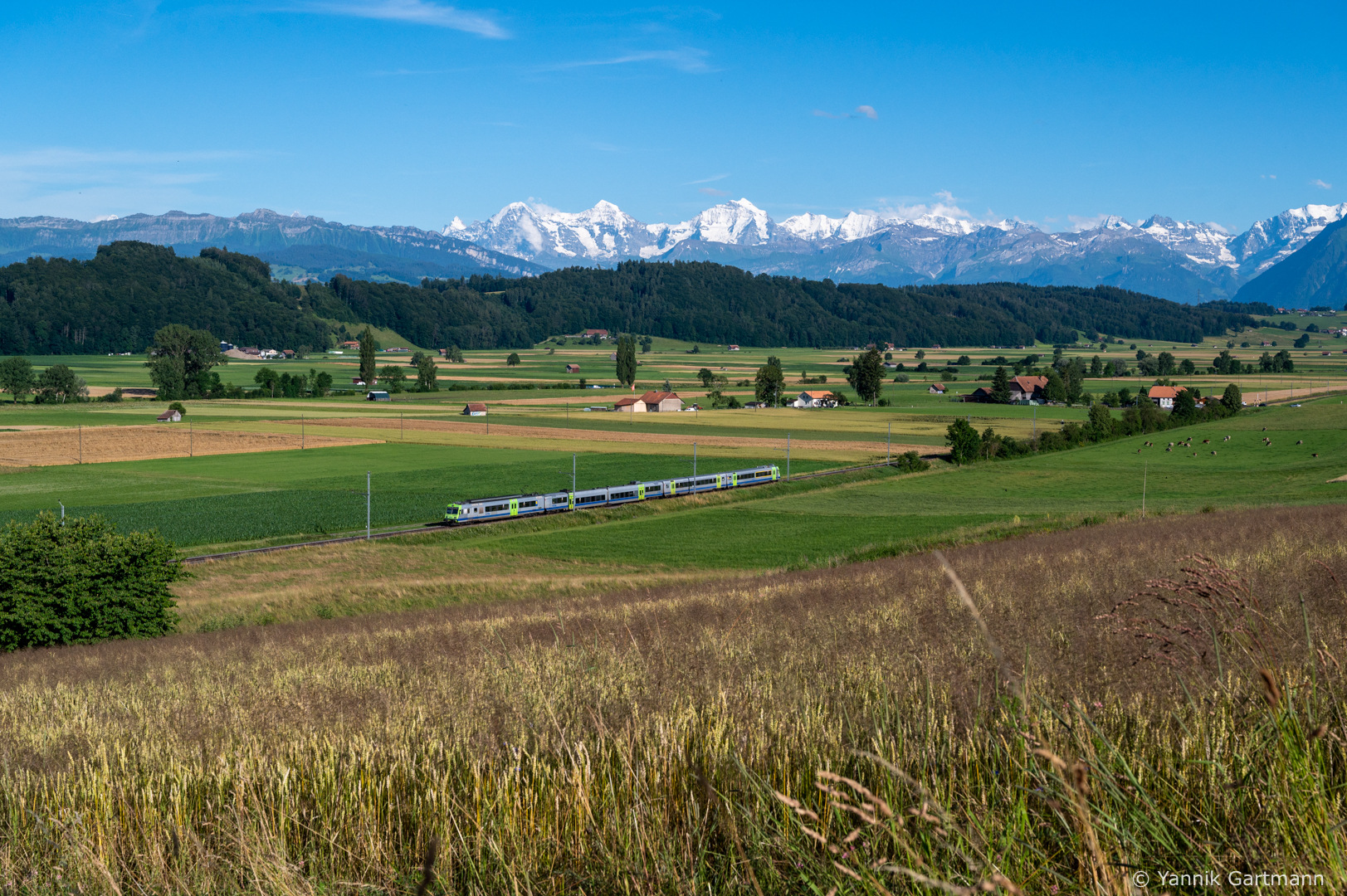 ABB RBDe 4/4 – photo 15