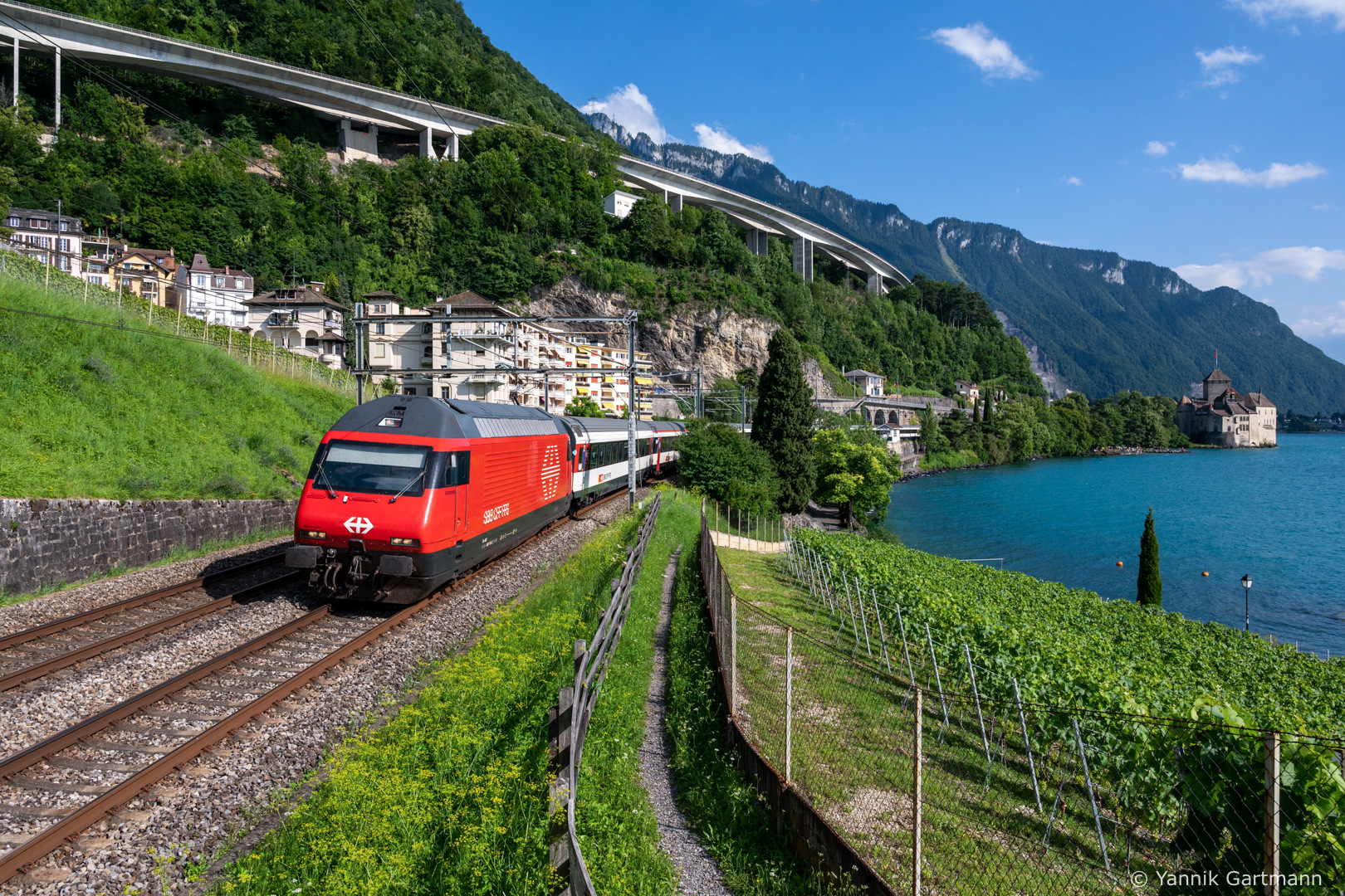 SLM Re 460 – photo 22