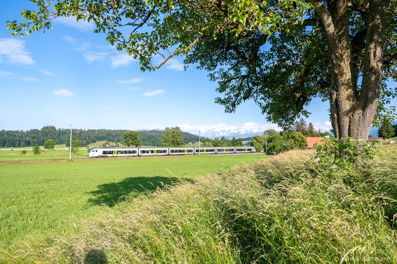 Stadler RABe 528 – photo 7