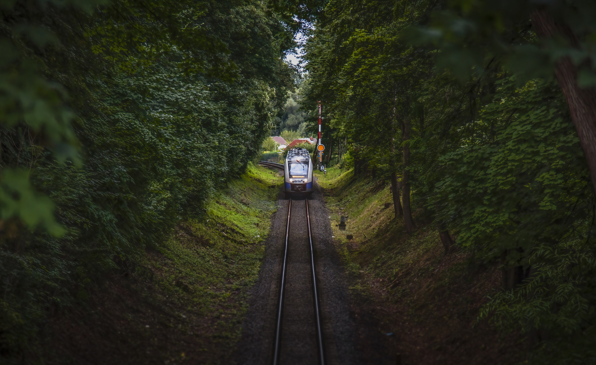 Alstom LINT 54 – photo 4