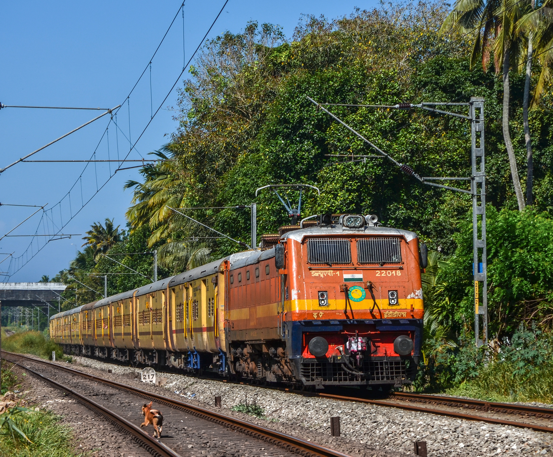 CLW WAP-1 – foto 5