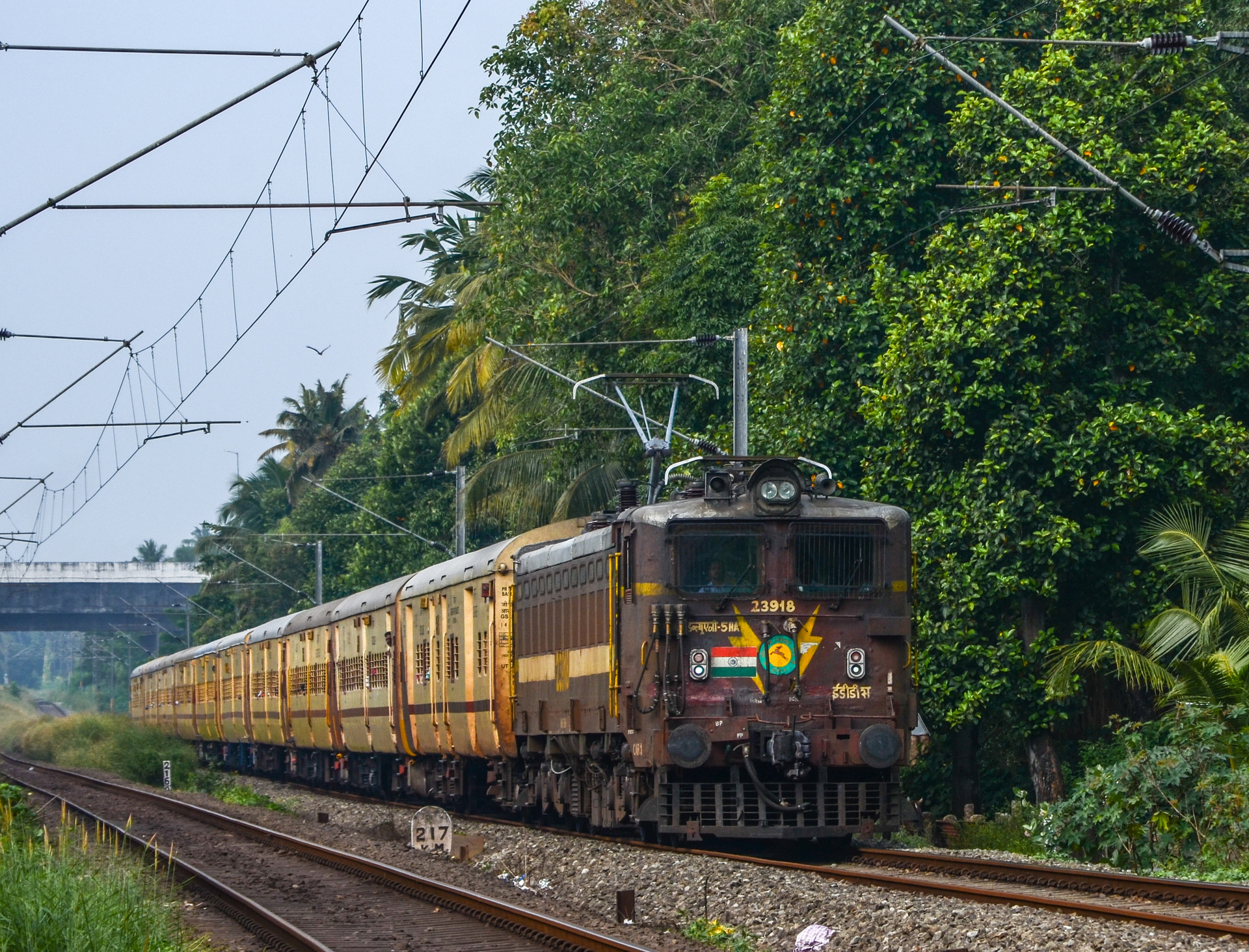 CLW WAG-5HA – photo 10