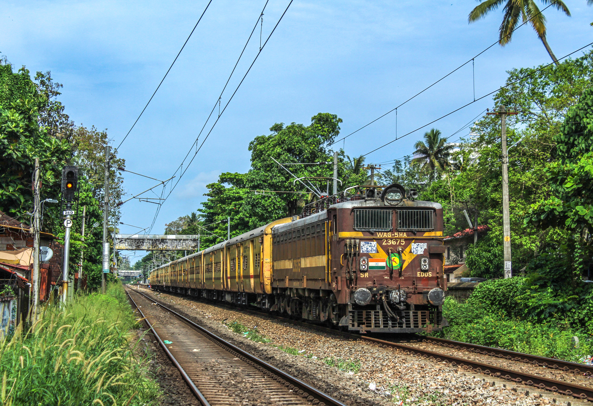 CLW WAG-5HA – photo 8