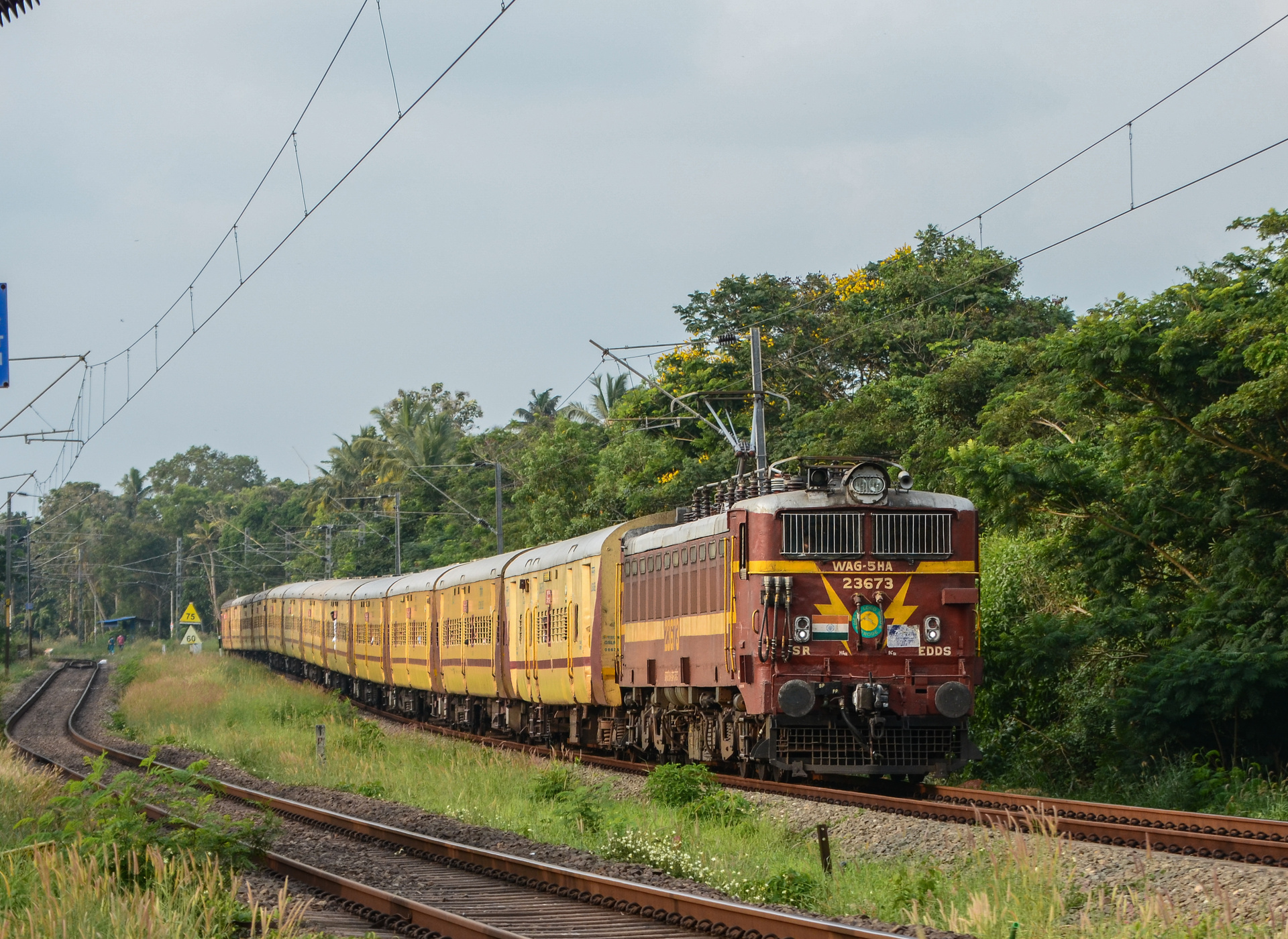 CLW WAG-5HA – photo 6