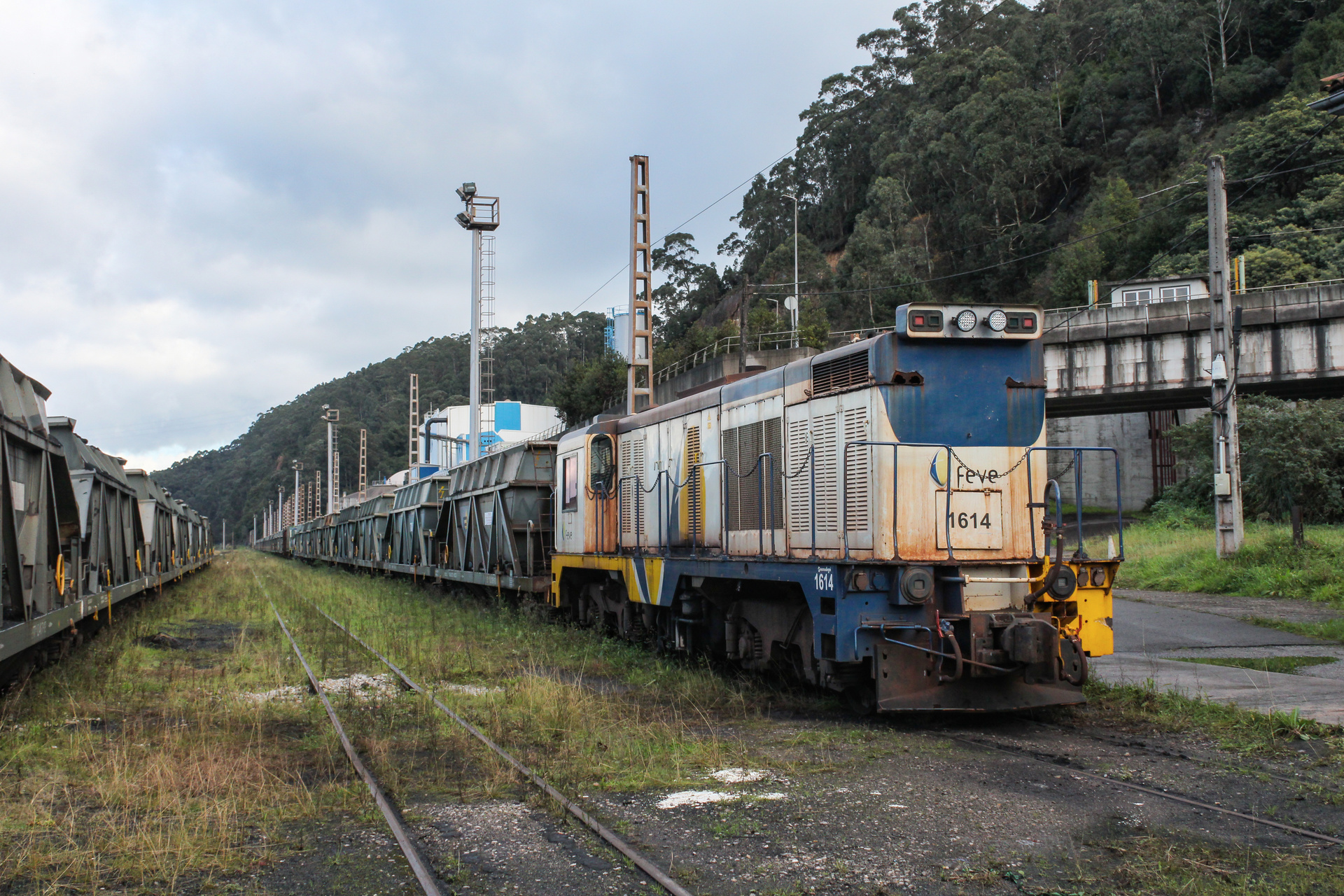 MTM 1600 – photo 3