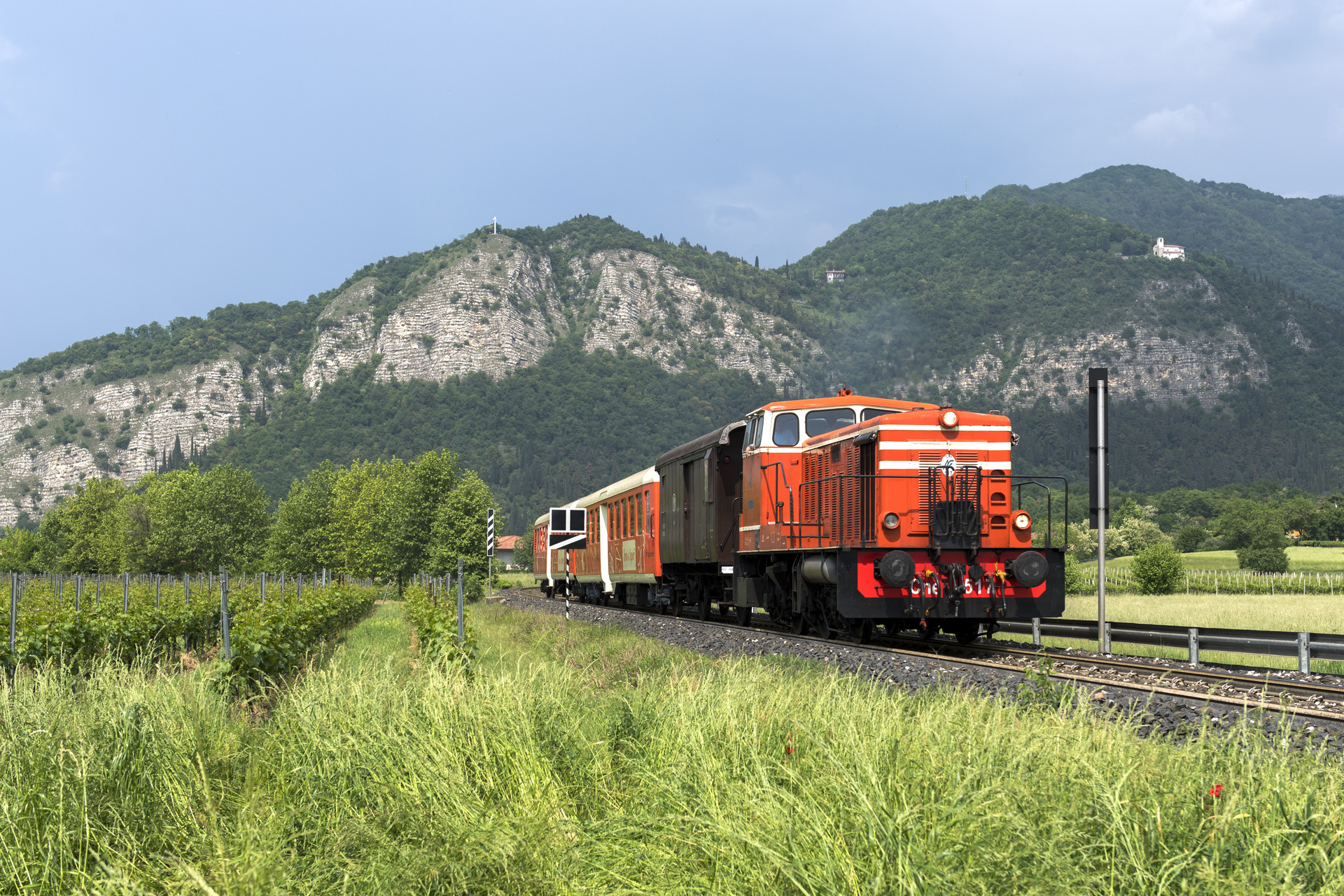 OM Cne – photo 4