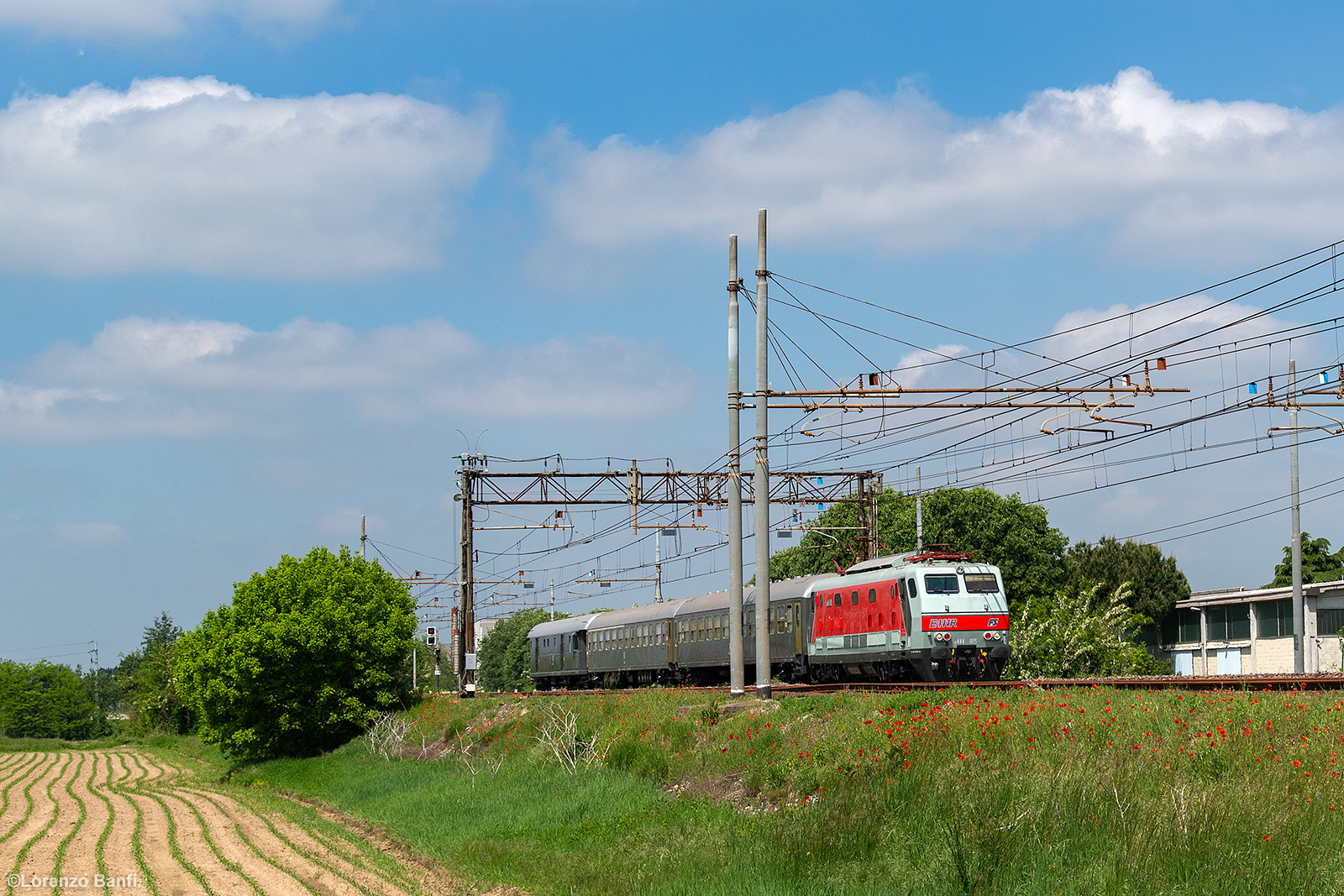 Fiat E444R – photo 17