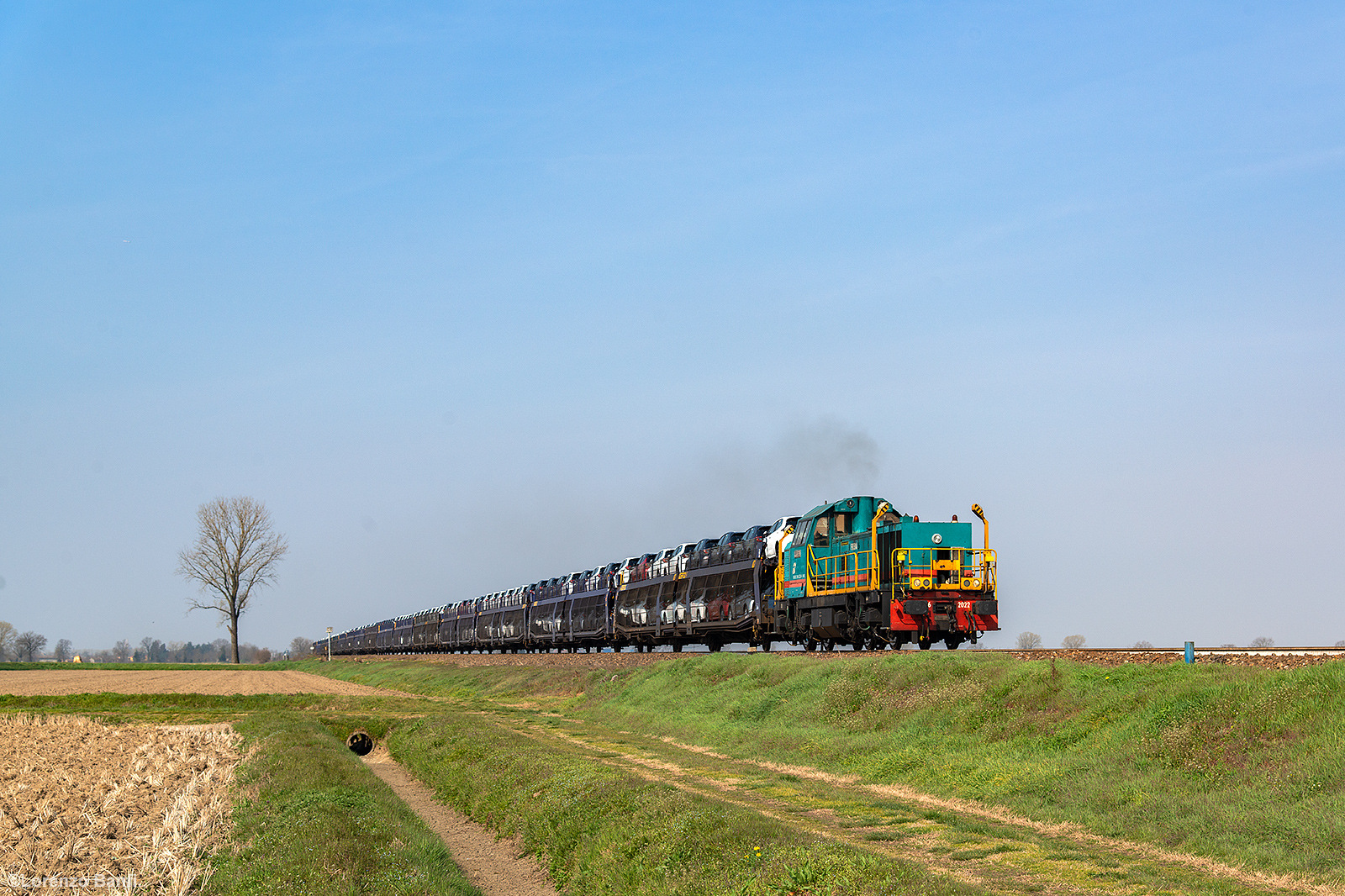 Firema D146 – photo 4