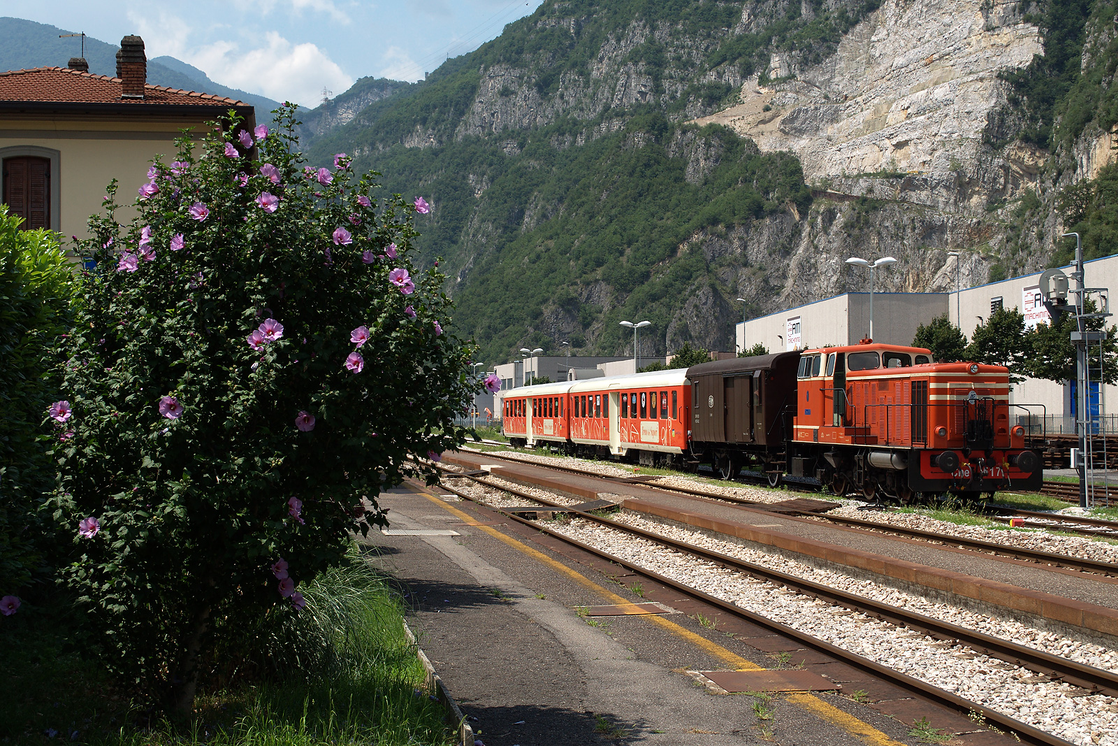 OM Cne – photo 24