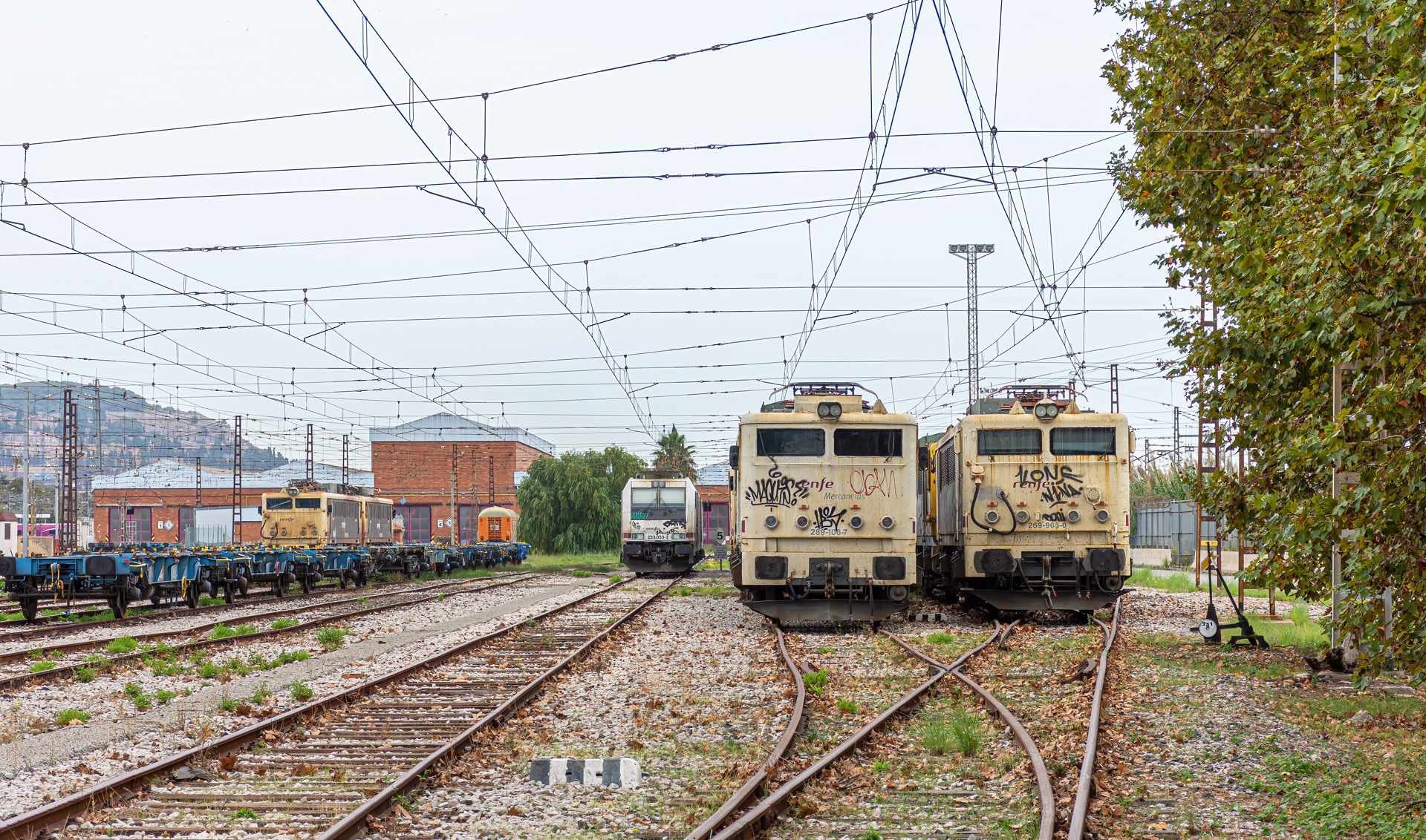 CAF 289-100 – photo 6