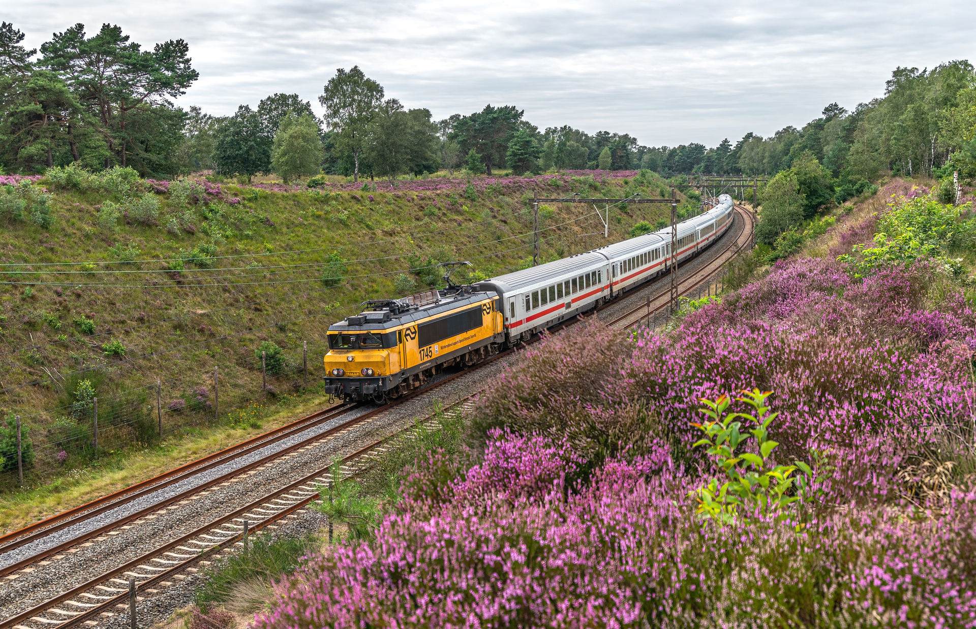 Alstom NS 1700 – photo 7