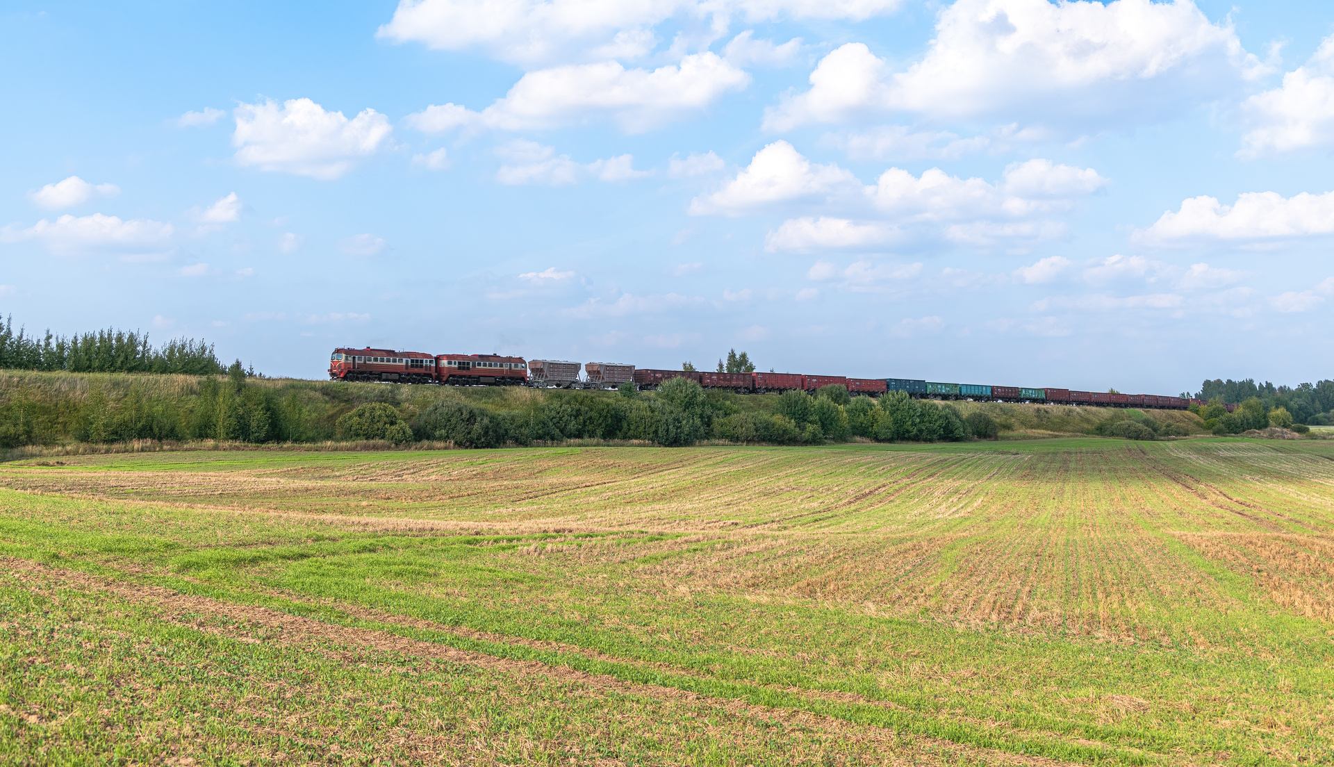 VLRD 2M62UM – Foto 2