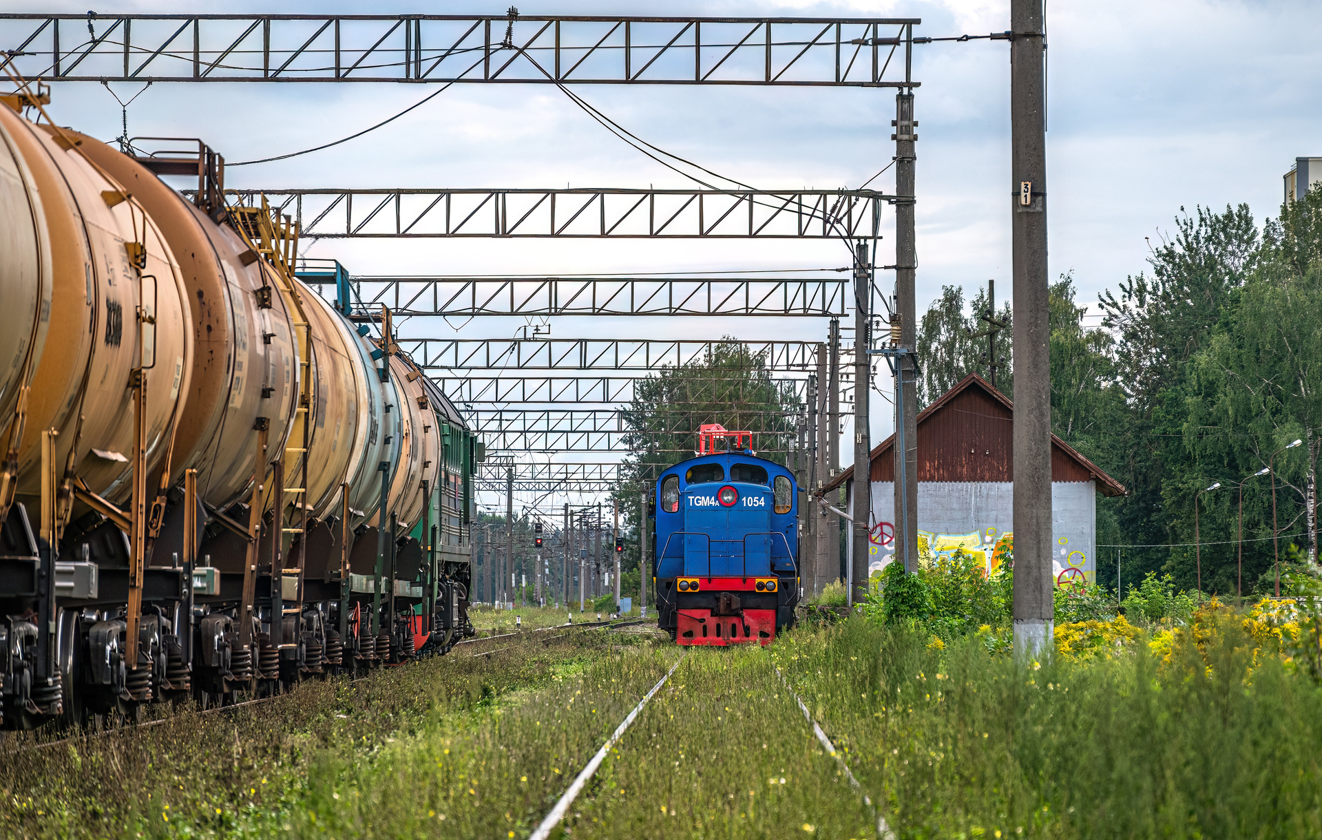 LTZ TGM4 – foto 11