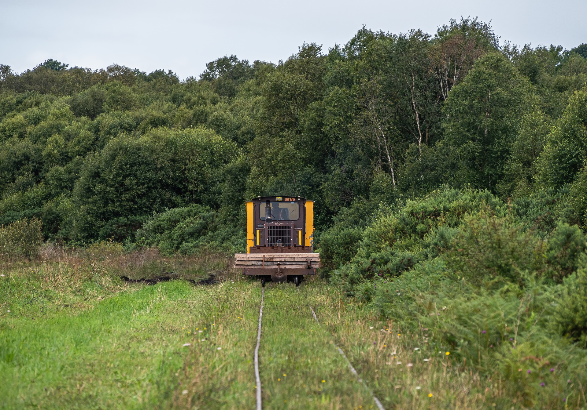 Bord na Mona LM400 – Foto 4