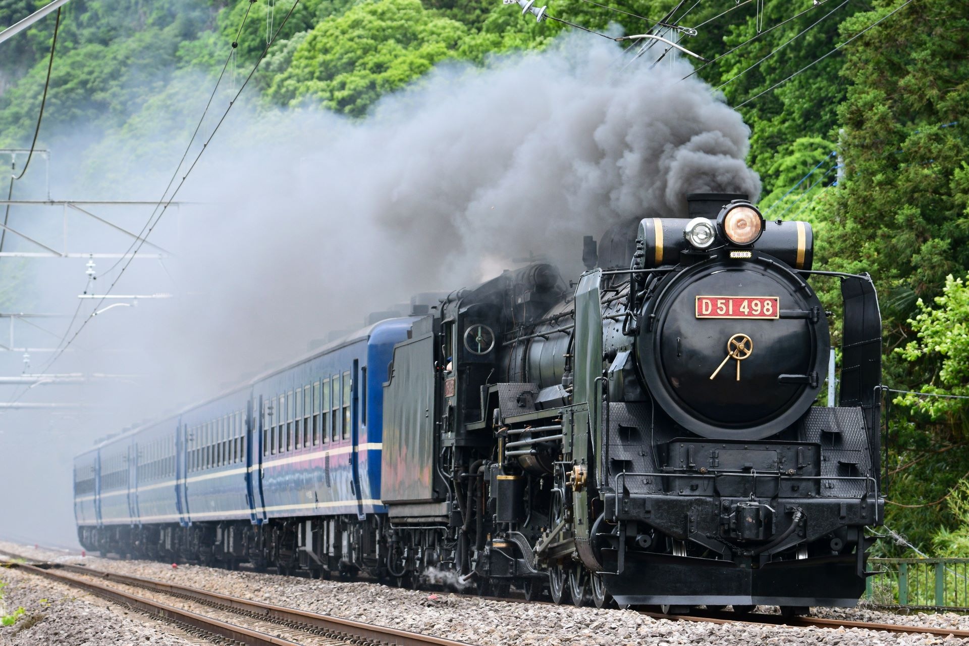 Hitachi D51 – photo 2