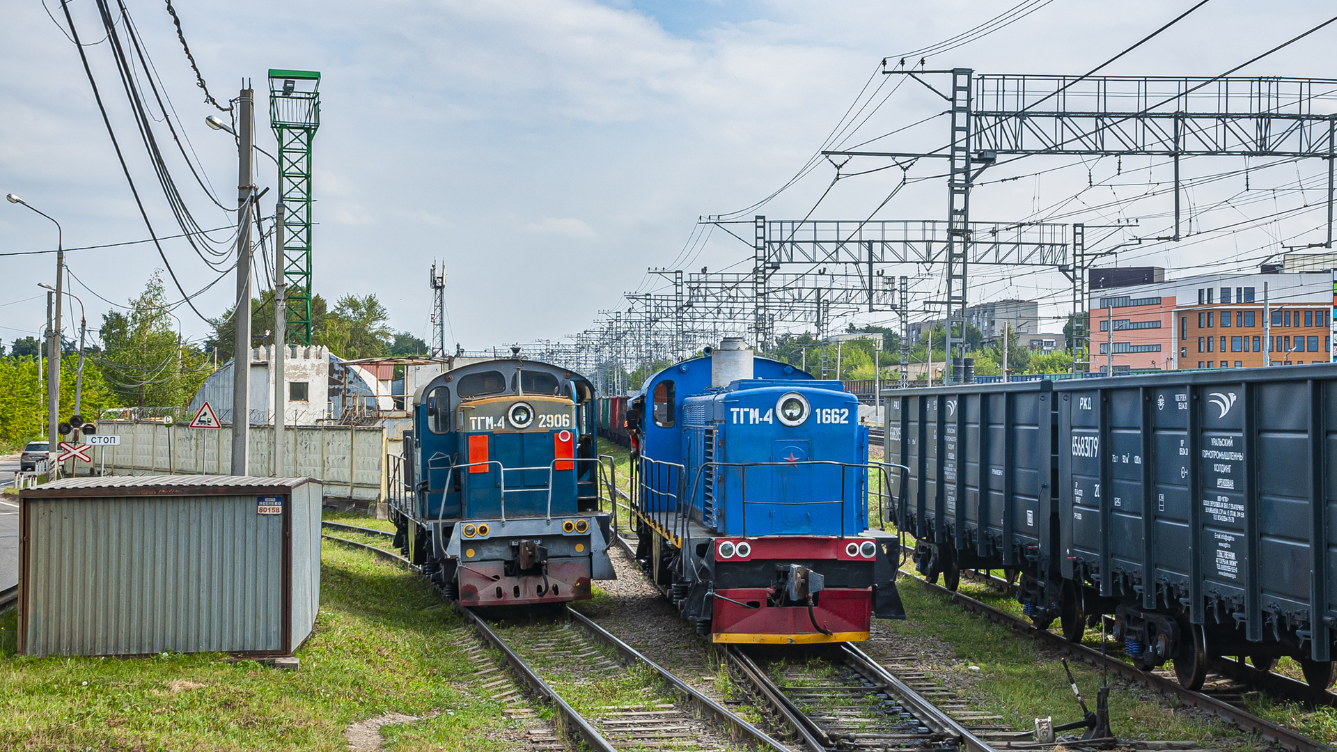 LTZ TGM4 – foto 2