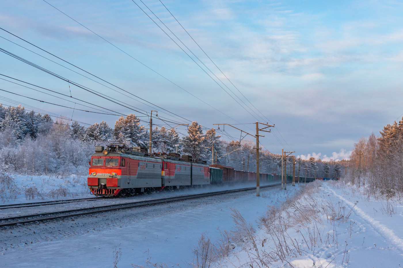 NEVZ VL11 – photo 7