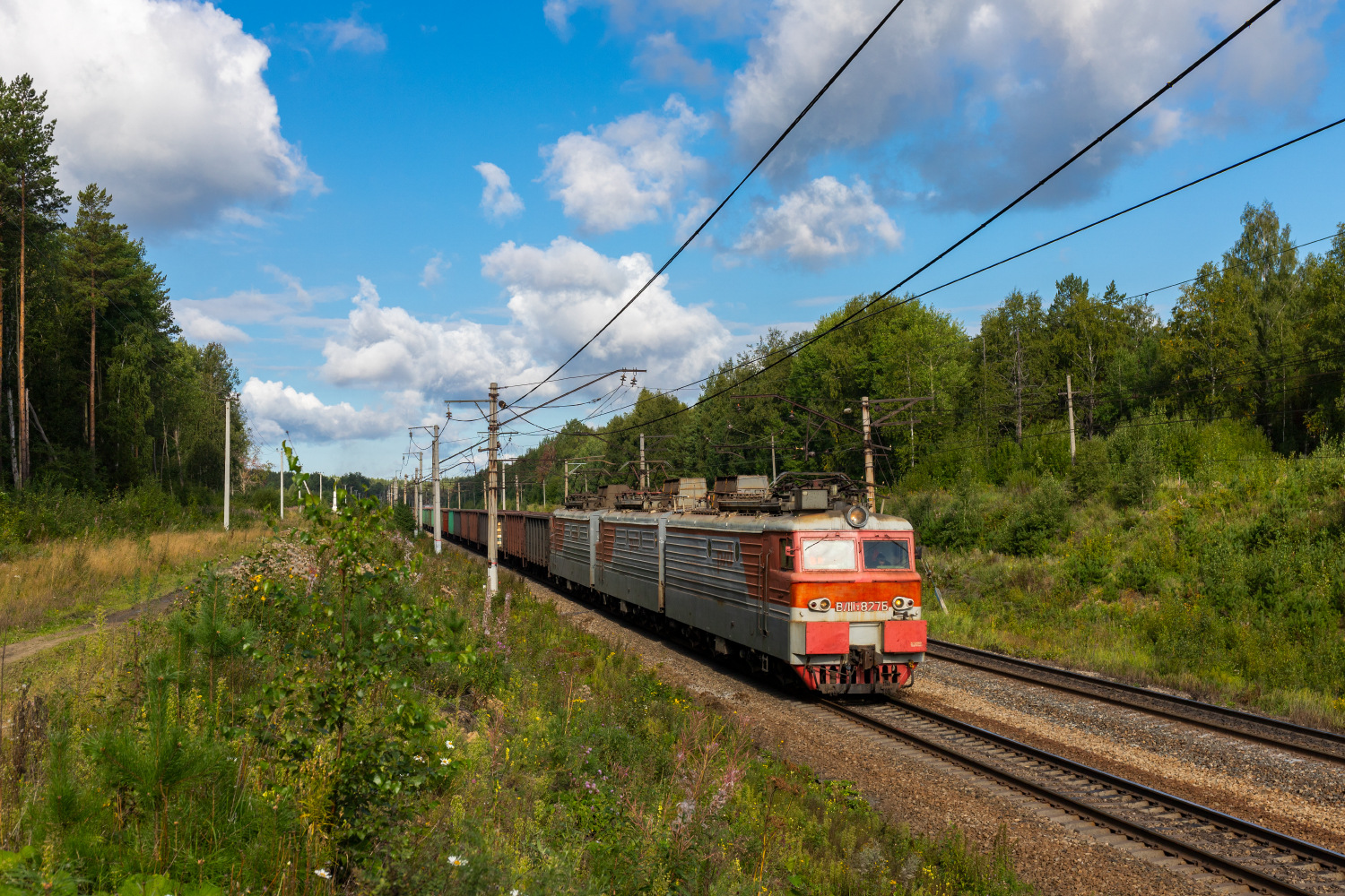 NEVZ VL11-8 – foto 3
