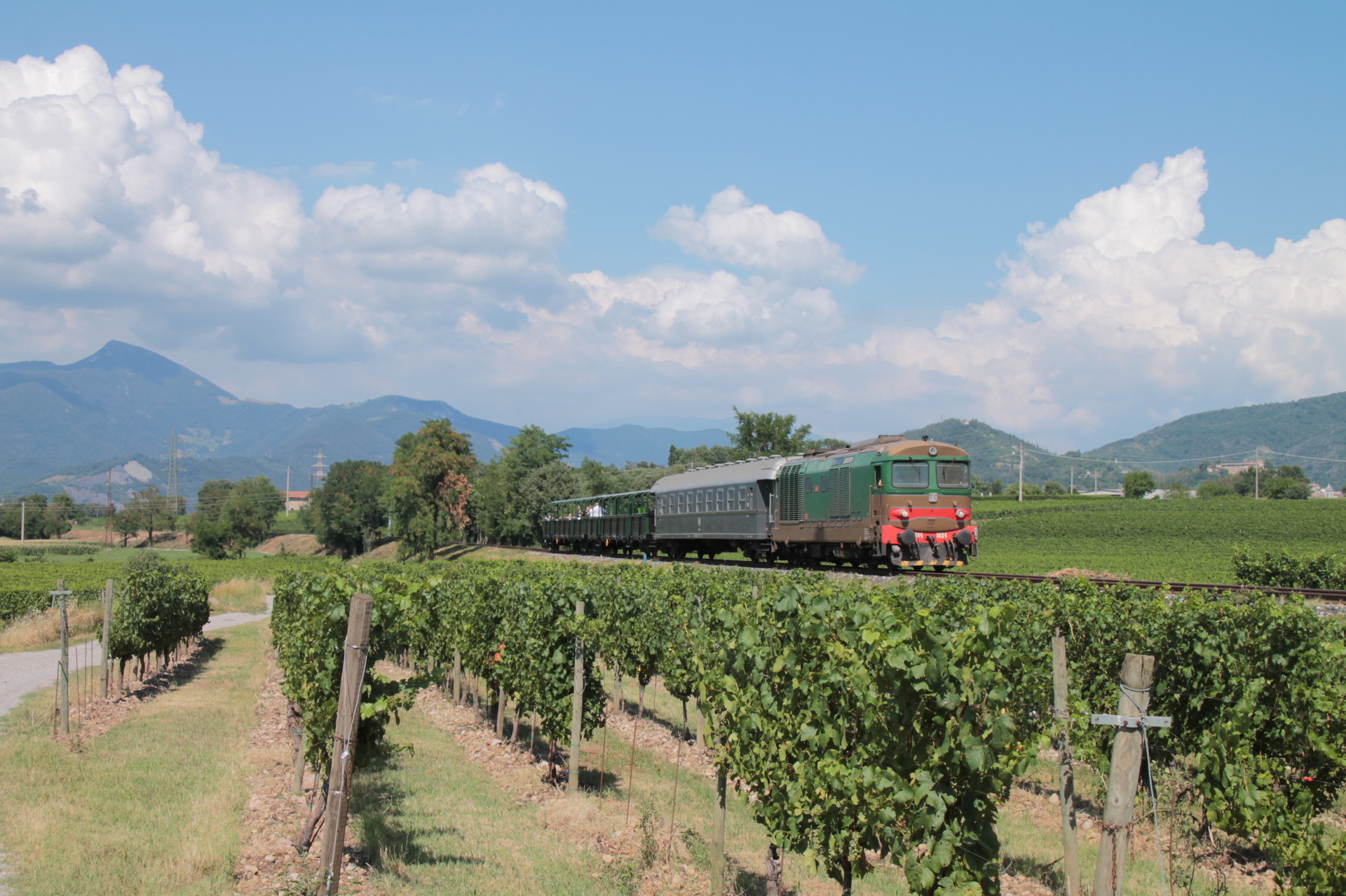 Fiat D445 – photo 6