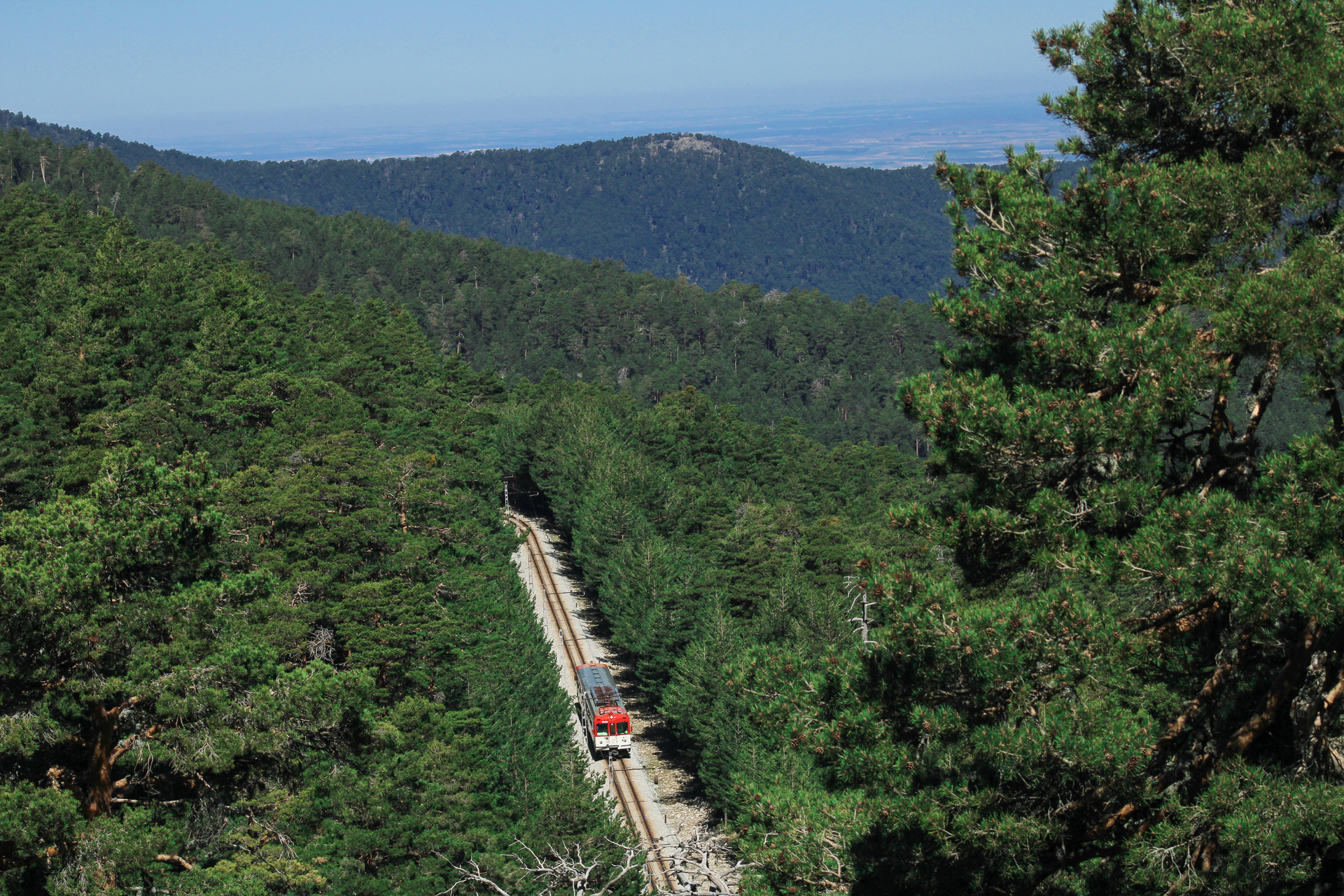 MTM RENFE 442 – photo 7