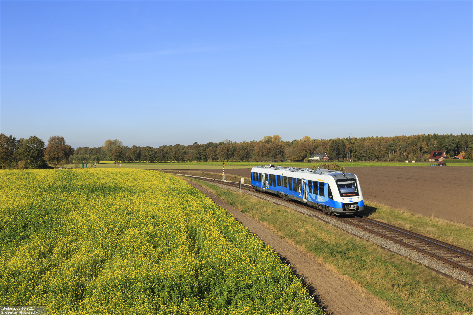 Alstom LINT 41 – photo 22