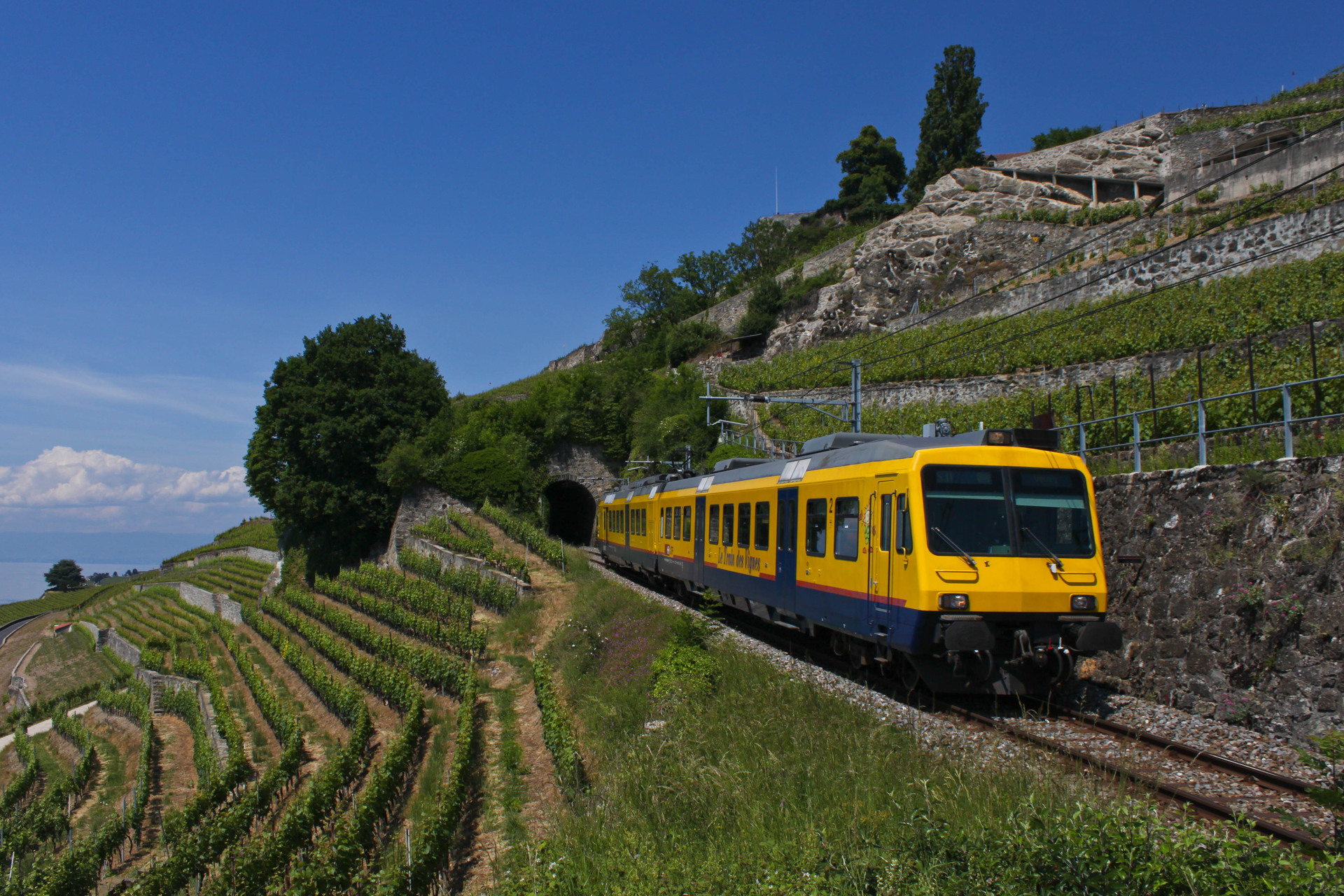 BBC RBDe 560 NPZ Colibri – Foto 5